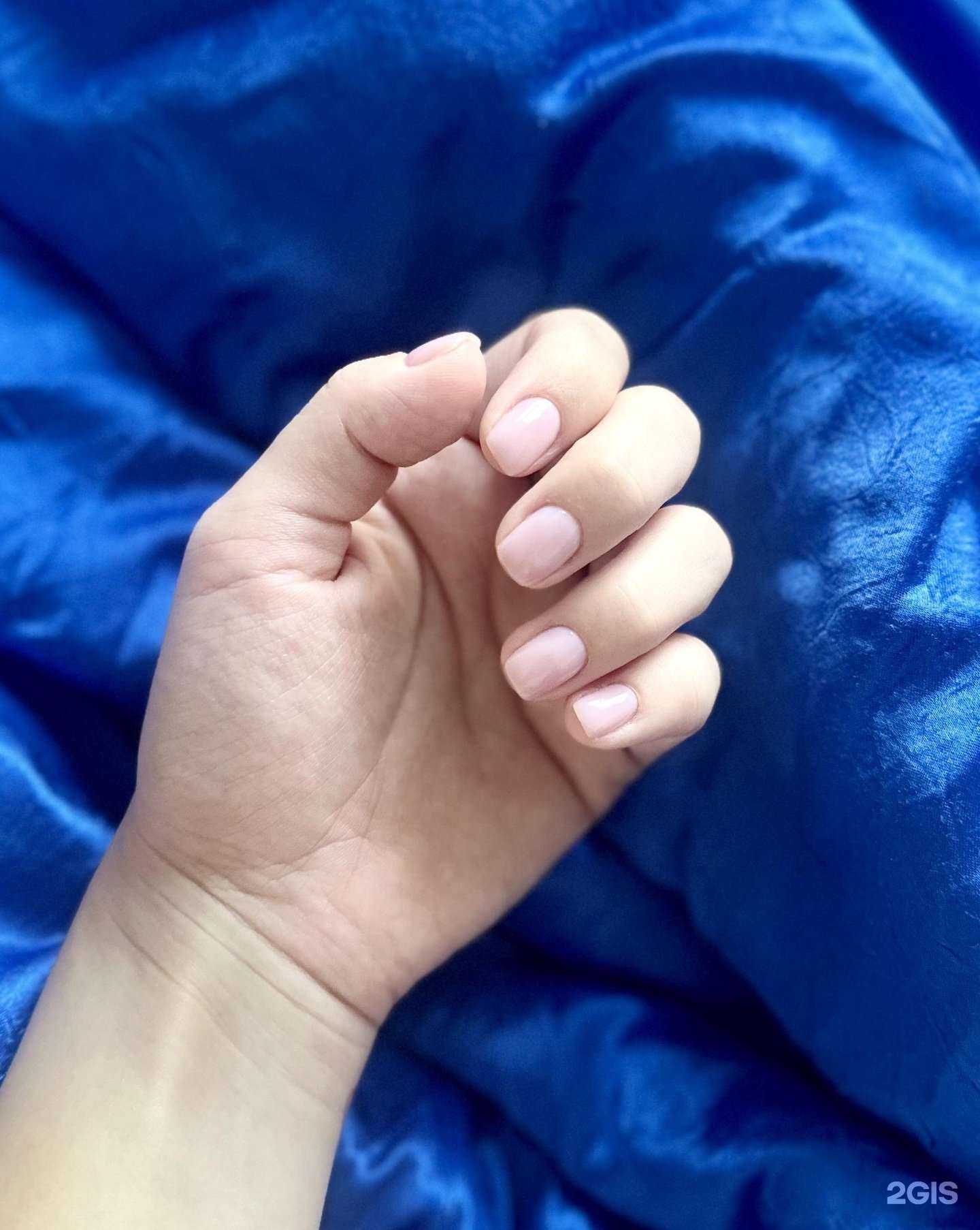 Отзывы на компанию Дали` в Краснодаре c фото