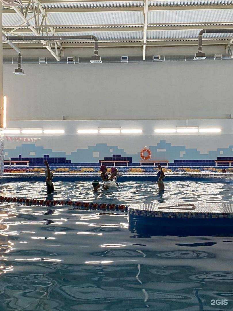 Отзывы на компанию Бабочка в Нижнем Новгороде c фото