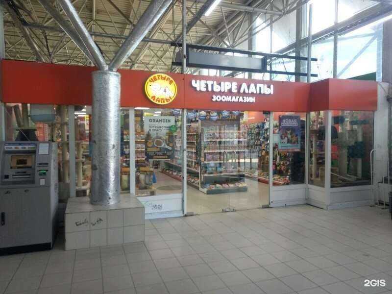 Отзывы на компанию Четыре лапы в Нижнем Новгороде c фото