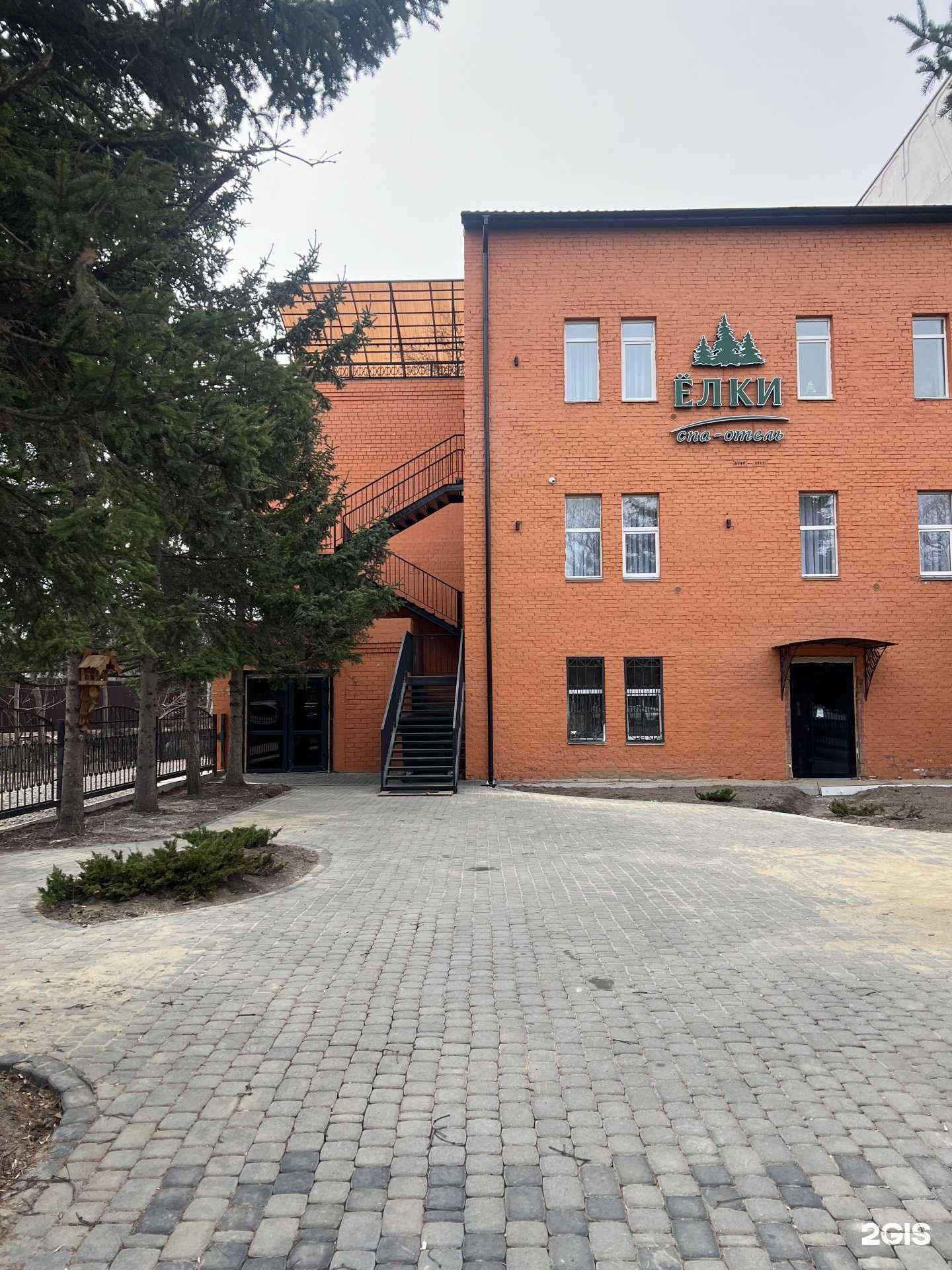 Отзывы на компанию Елки в Владивостоке c фото