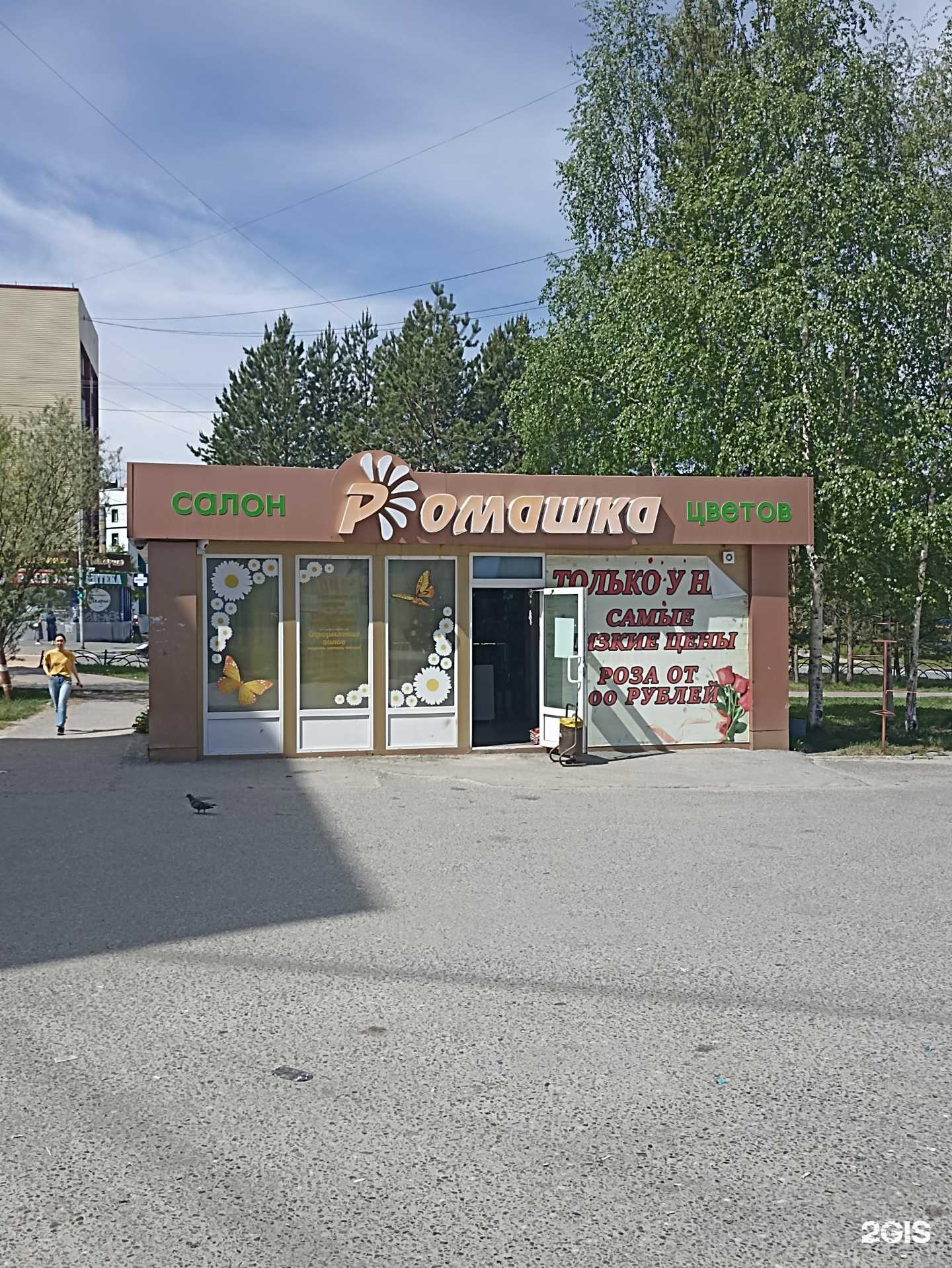 Отзывы на компанию Ромашка в г. Пыть-Ях c фото