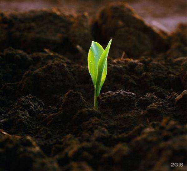 Отзывы на компанию Доставка 54 в г. Новосибирск c фото