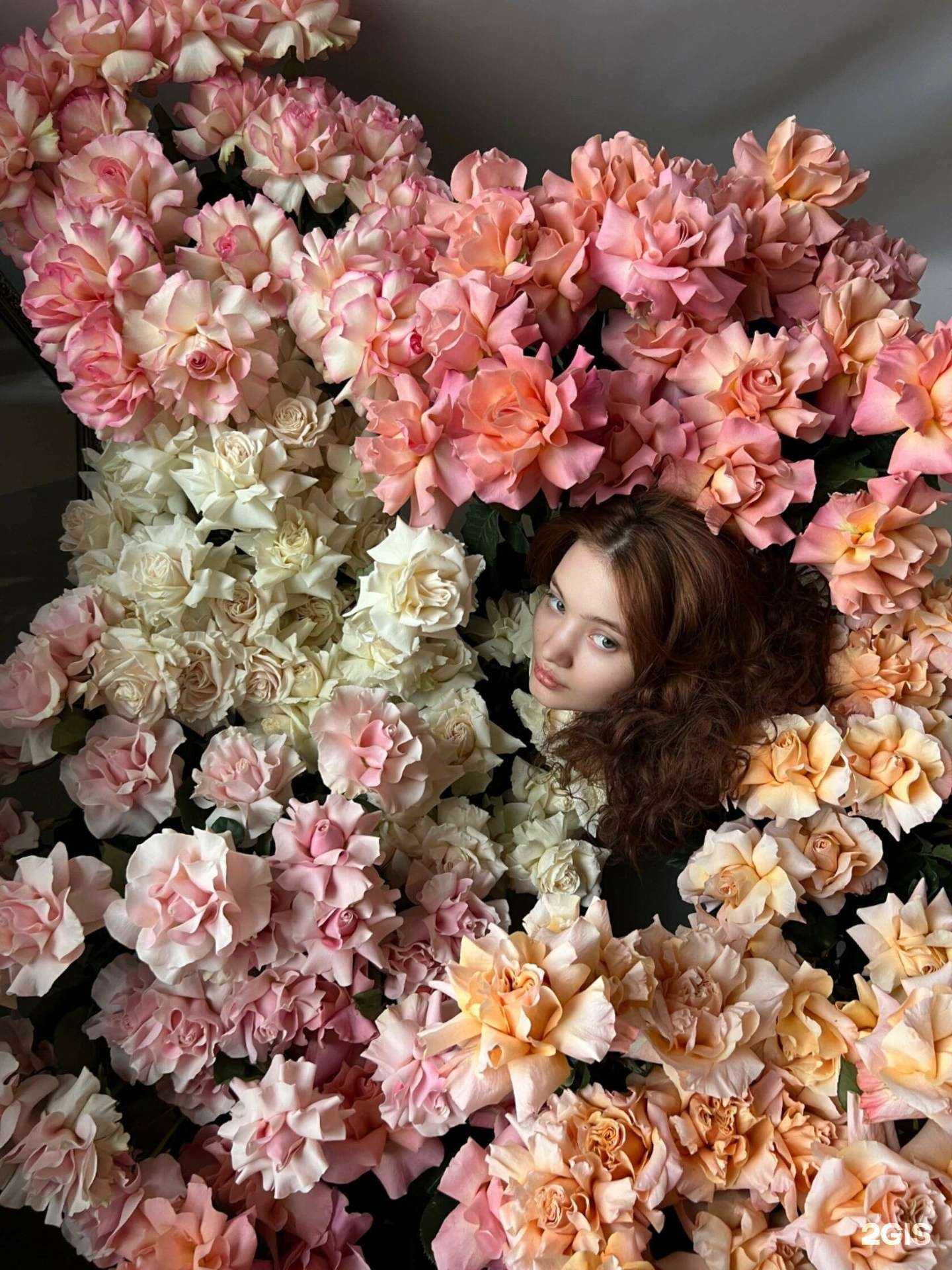 Отзывы на компанию Boutone в г. Жуковский c фото