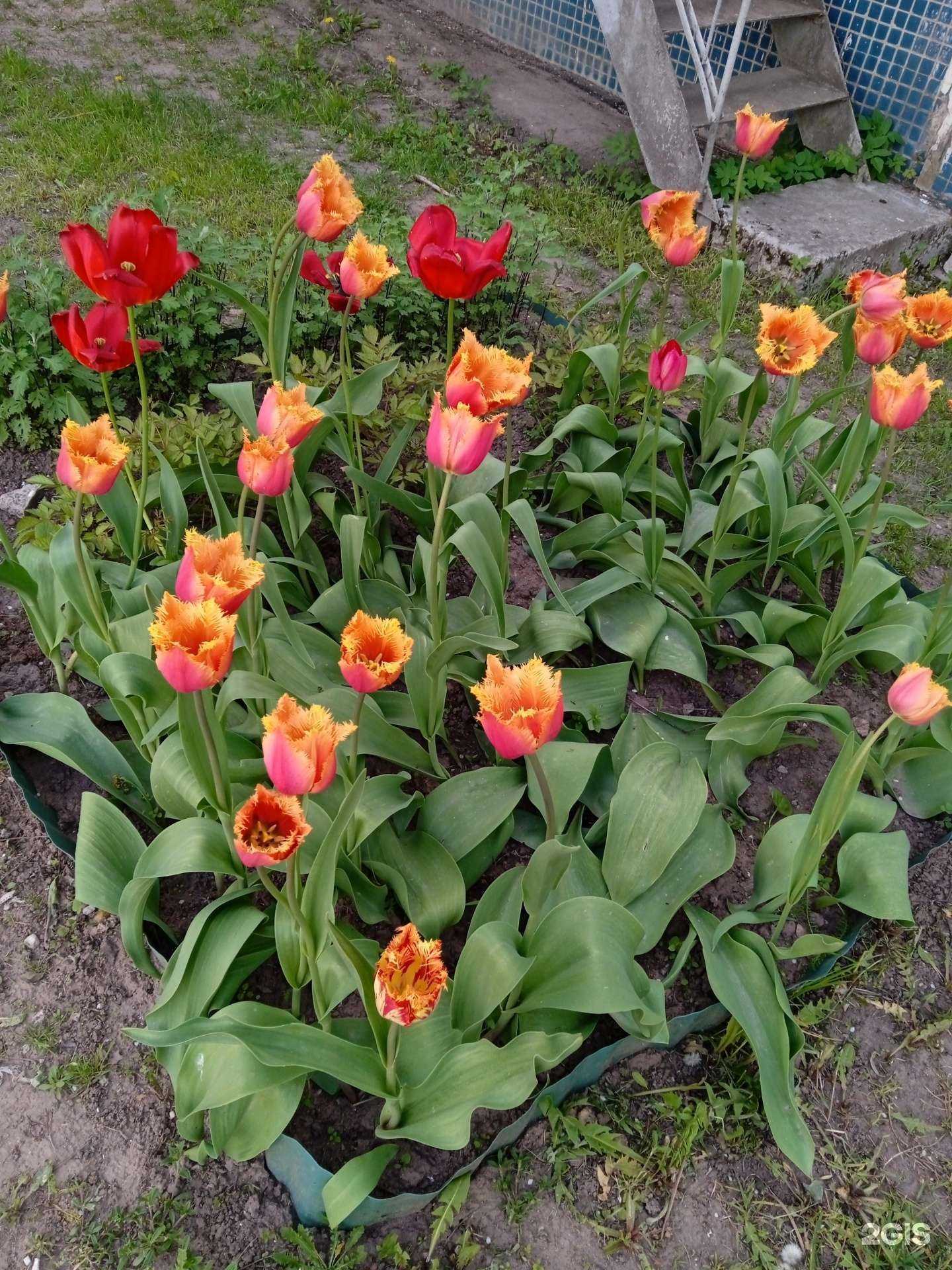 Отзывы на компанию Улыбка в г. Псков c фото