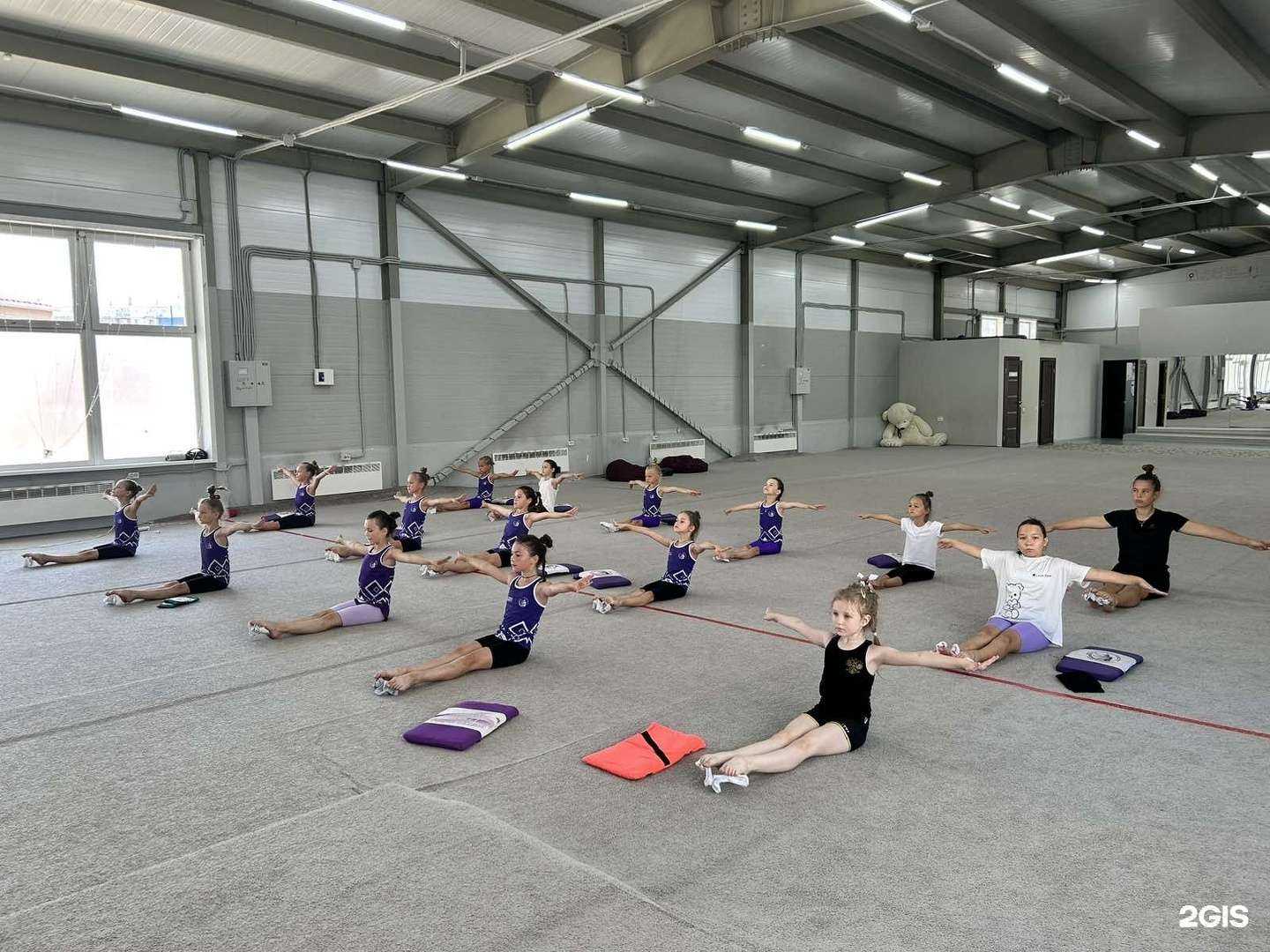 Отзывы на компанию Центр эстетической гимнастики в Красноярске c фото