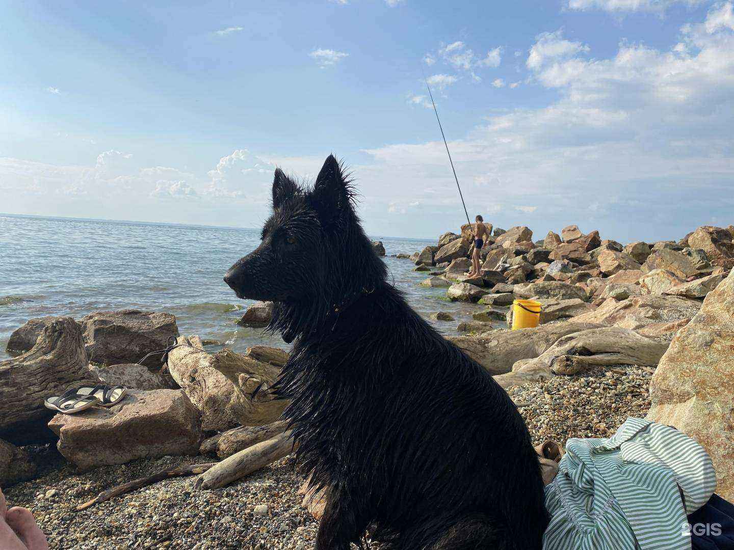 Отзывы на компанию Бердский ветеринарный участок в г. Бердск c фото