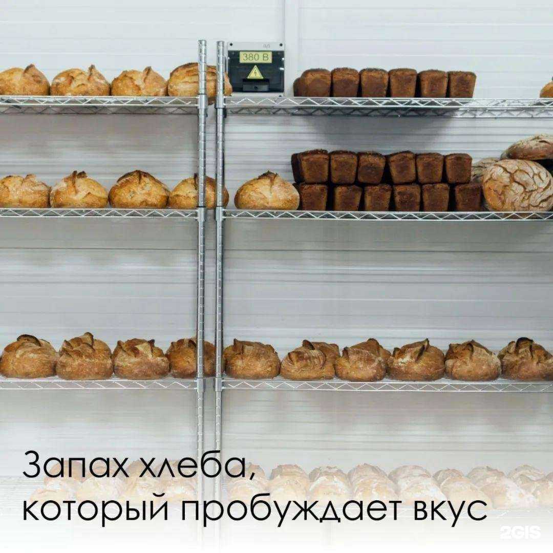 Отзывы на компанию Алауда в Ставрополе c фото