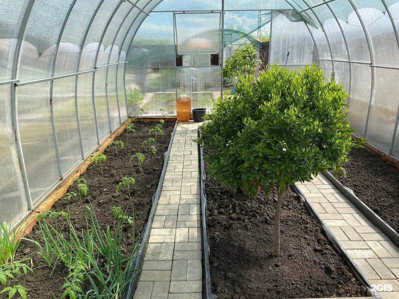 Отзывы на компанию Мпк Теплицы Кубани в г. Краснодар c фото