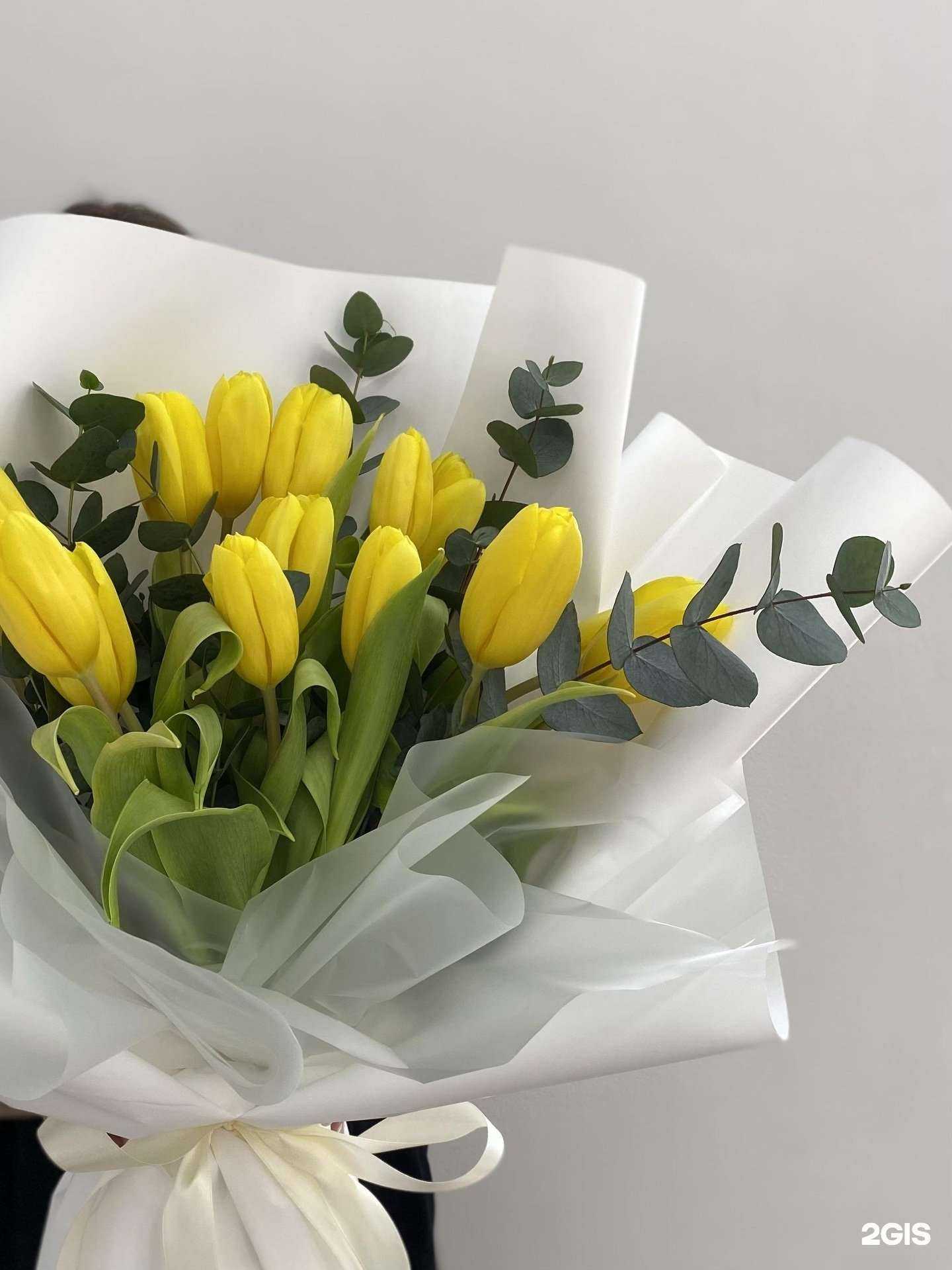 Отзывы на компанию Donna rose в Новокузнецке c фото