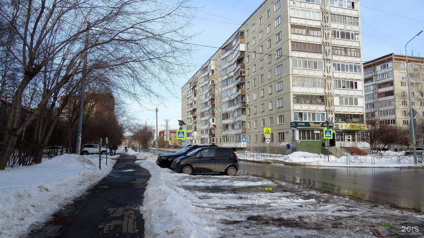 Отзывы на компанию ЭкзоВет в Тюмени c фото - фотография 2 из 2