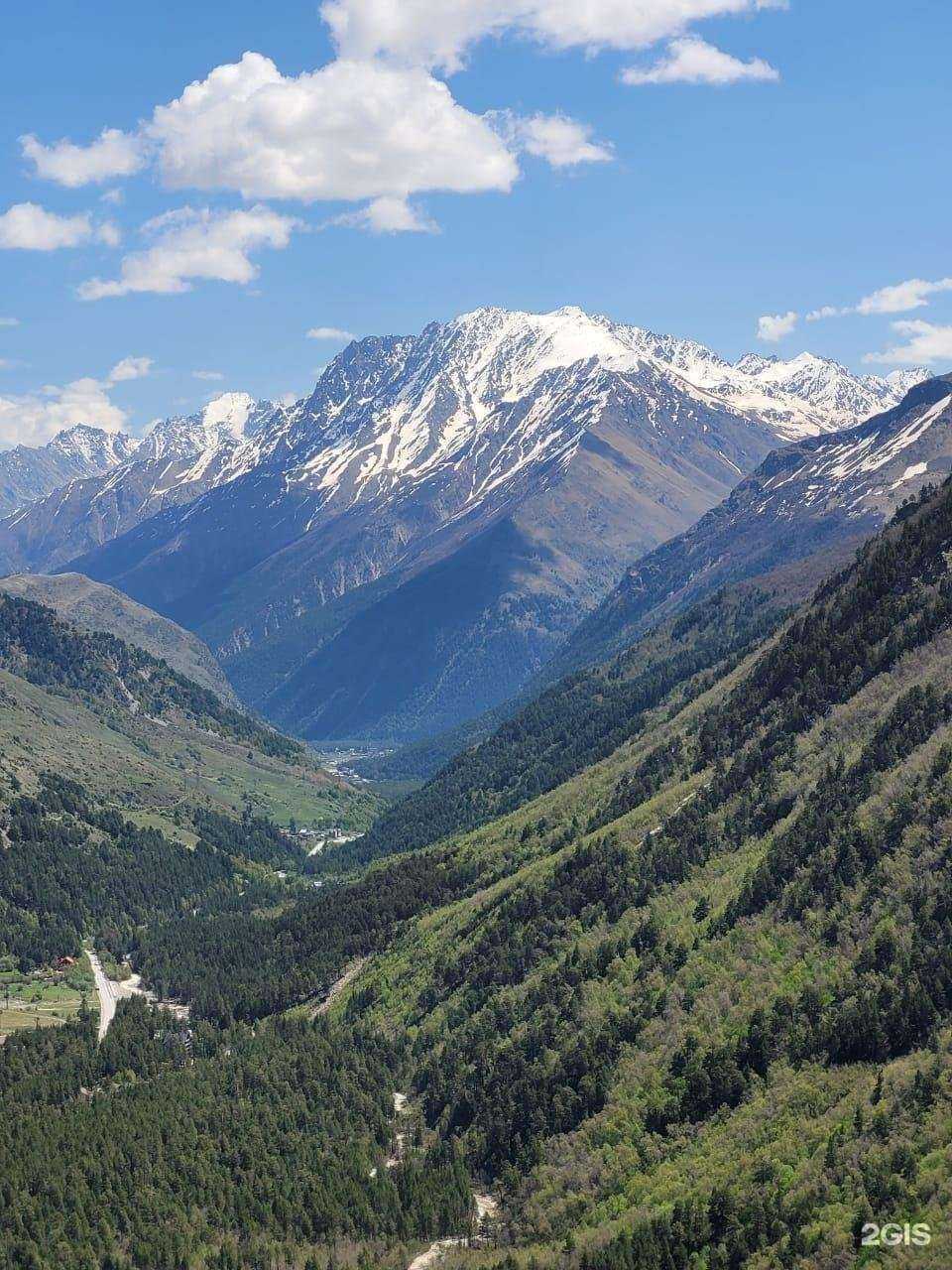 Отзывы на компанию Скатертью дорога в Кургане c фото