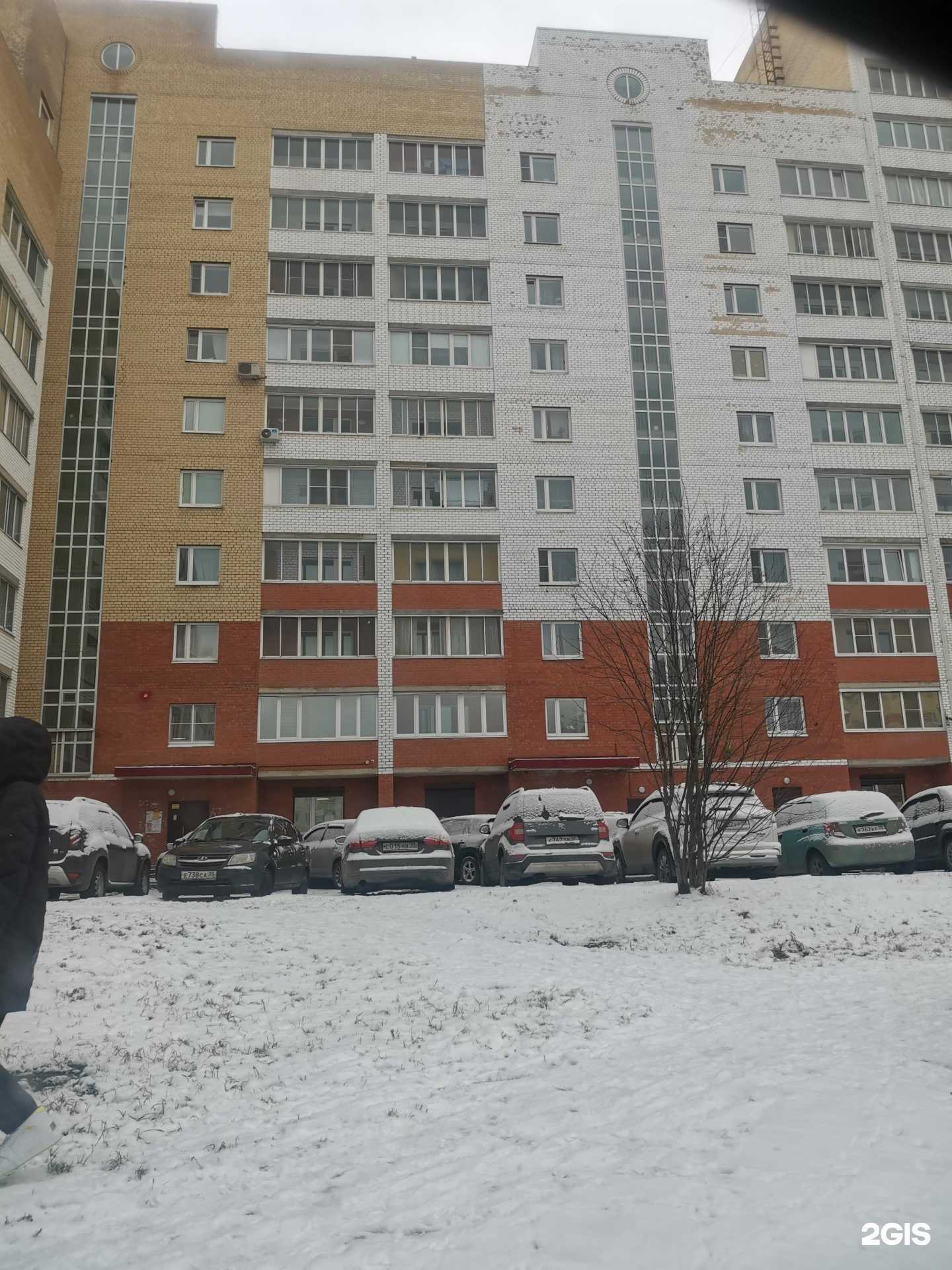 Отзывы на компанию Золотая рыбка в Череповце c фото - фотография 2 из 2