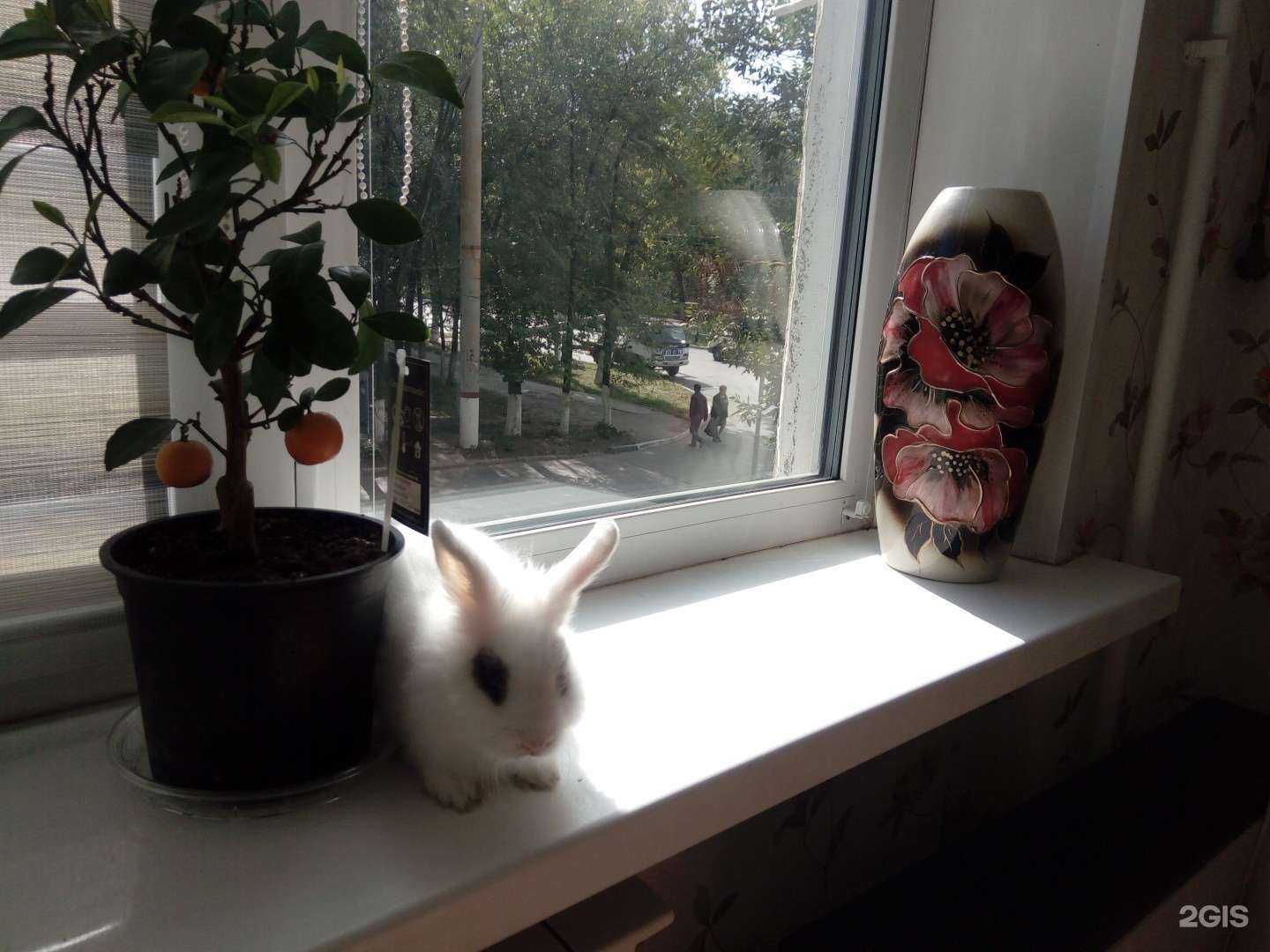 Отзывы на компанию Атмосфера в г. Новокуйбышевск c фото