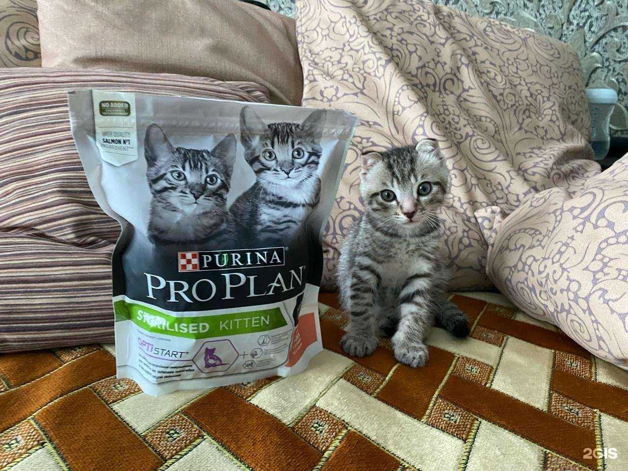 Отзывы на компанию Зоооптторг.рф в г. Коммунарка c фото