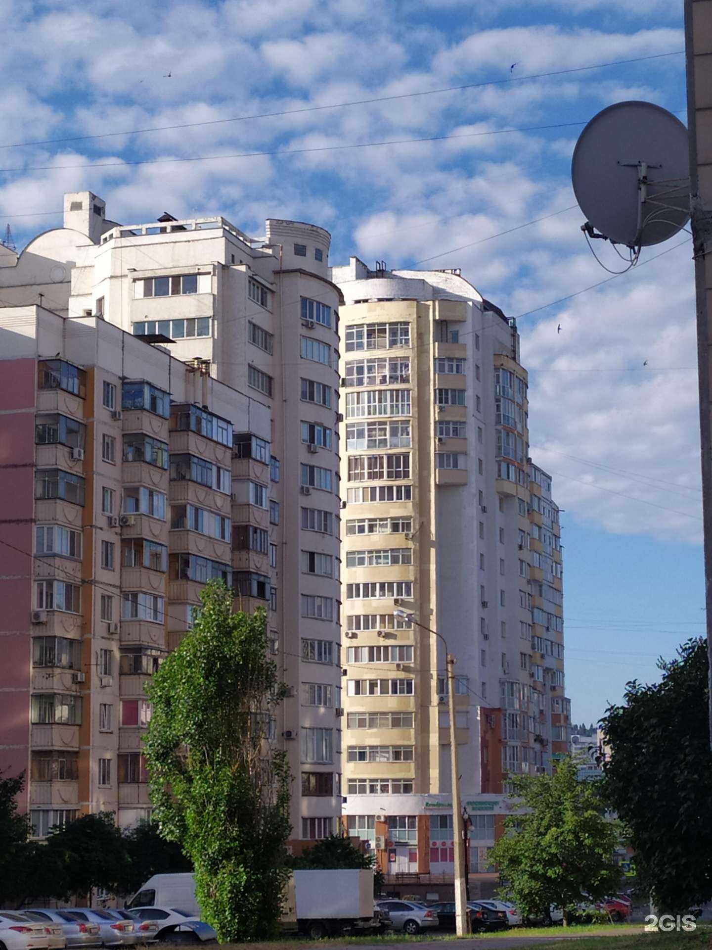 Отзывы на компанию ЗооМаг в Белгороде c фото - фотография 2 из 2