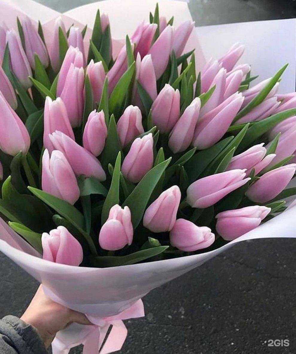 Отзывы на компанию Студия маникюра в Новосибирске c фото