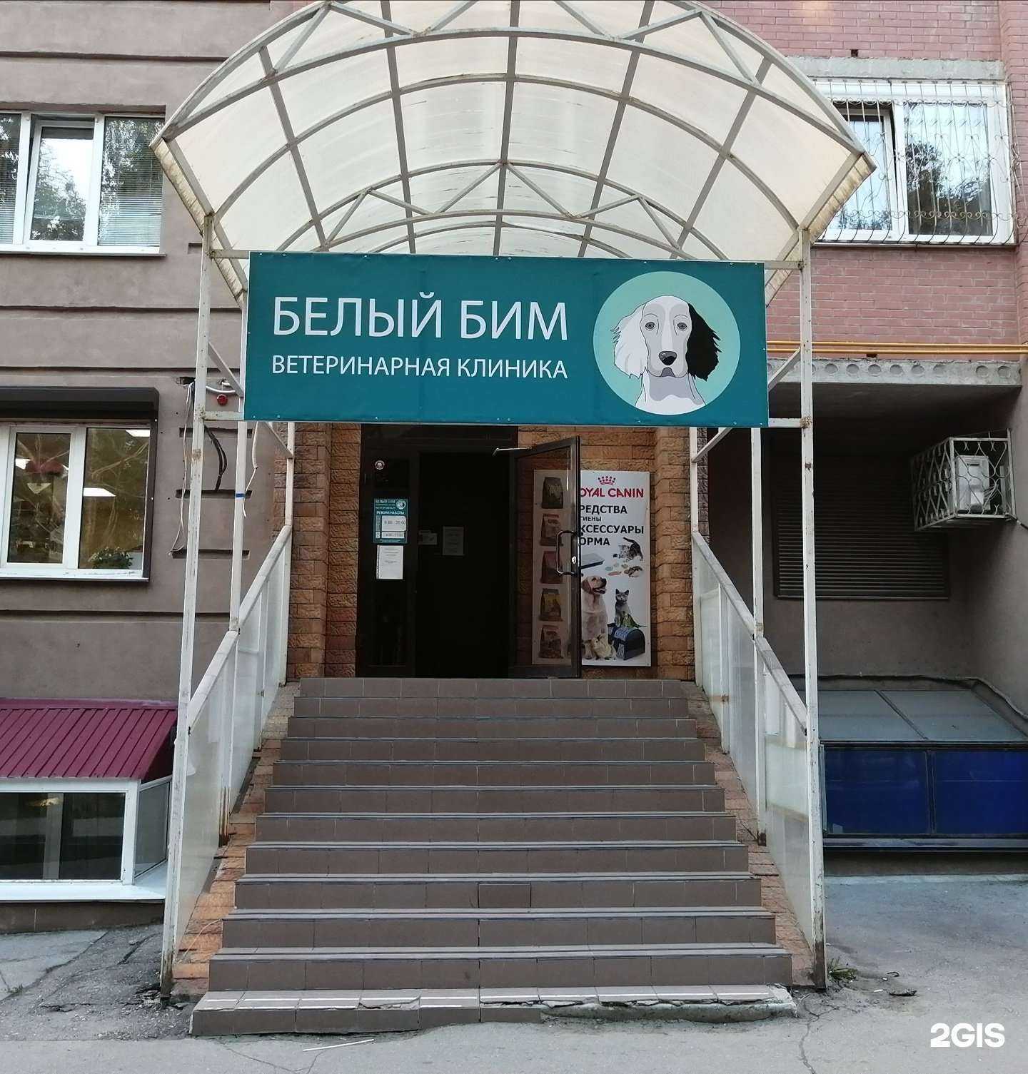 Отзывы на компанию Белый Бим в Самаре c фото