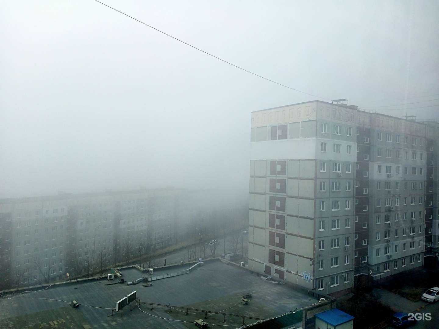 Отзывы на компанию Планета здоровья в Владивостоке c фото - фотография 2 из 2