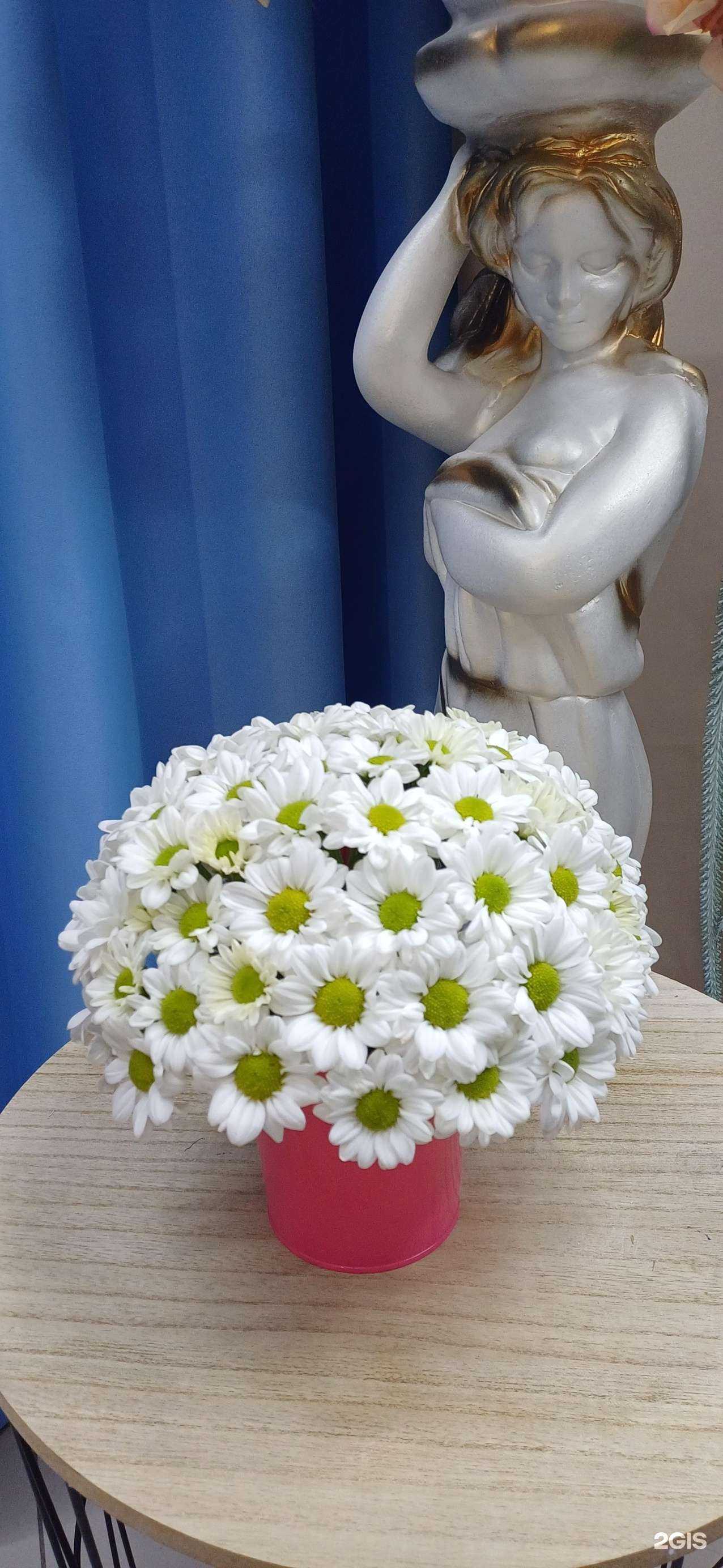 Отзывы на компанию byketov_26 в Ставрополе c фото