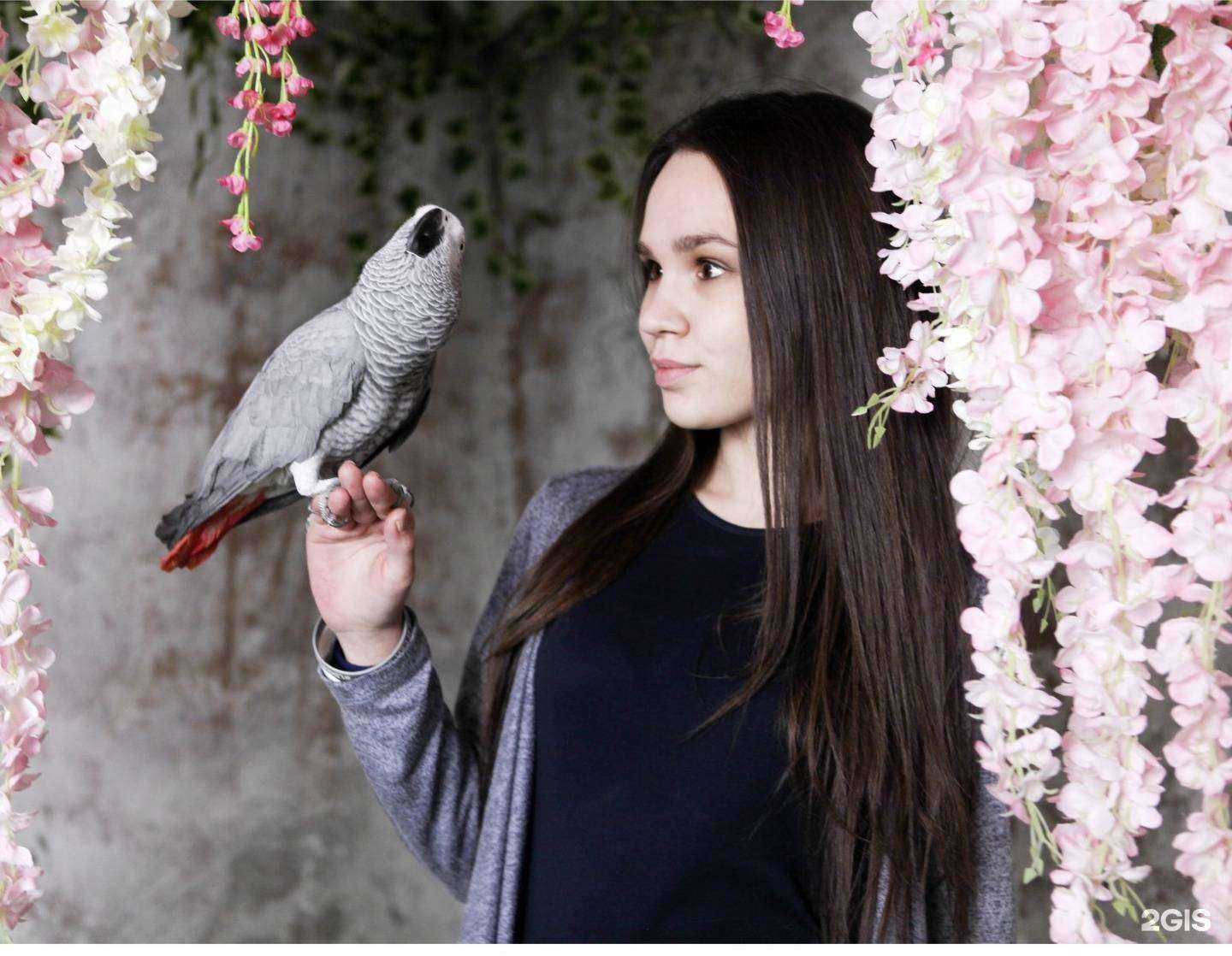 Отзывы на компанию Че Гевара в г. Иркутск c фото