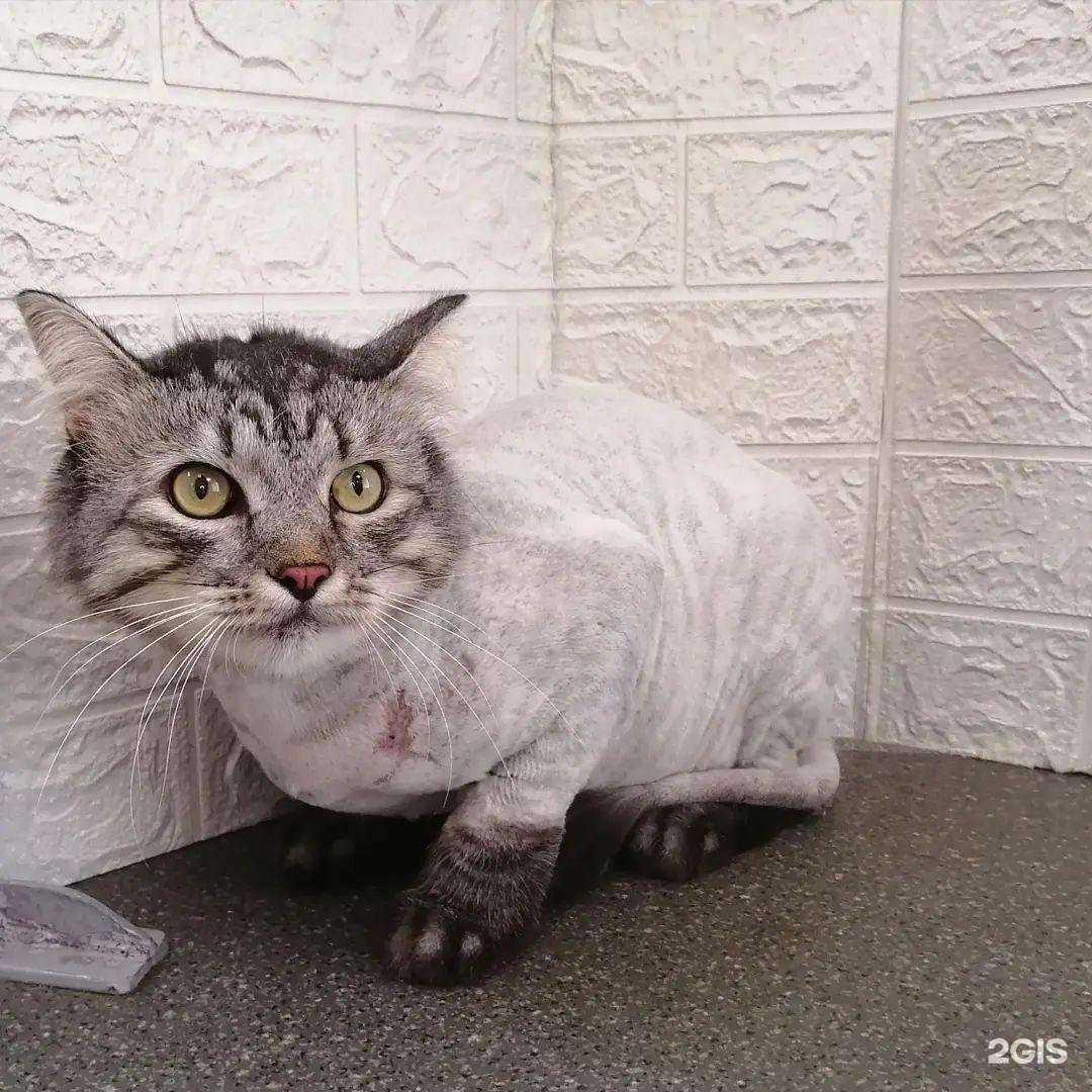 Отзывы на компанию Милый друг в Димитровграде c фото