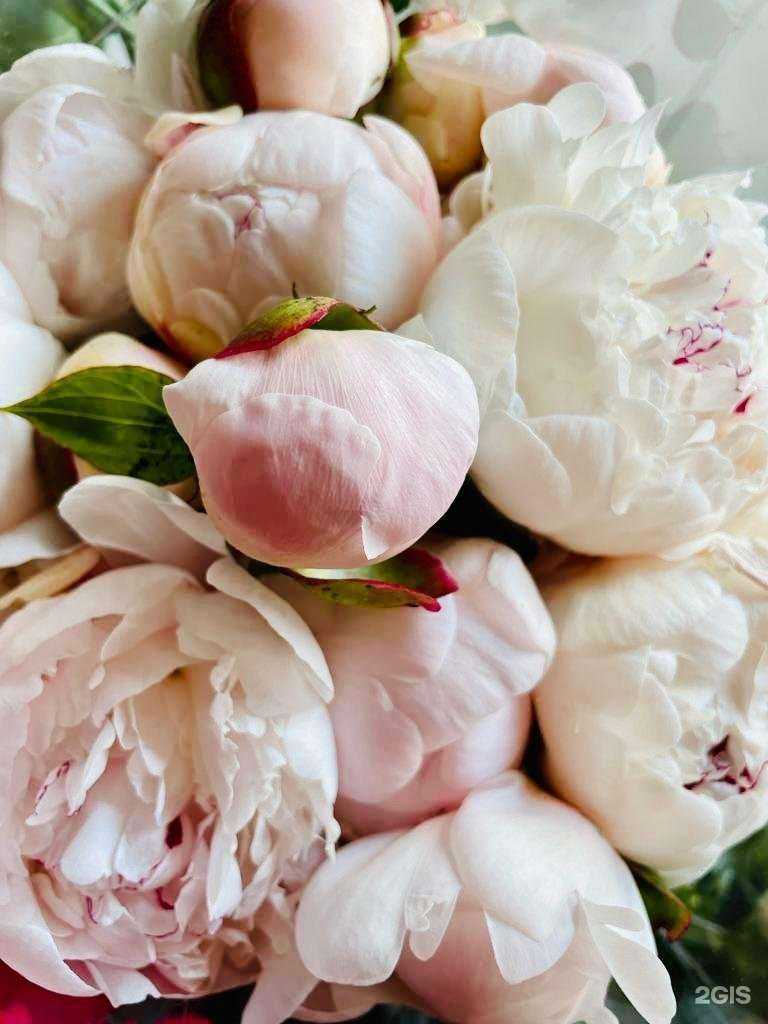 Отзывы на компанию Ля бутон в Астрахани c фото