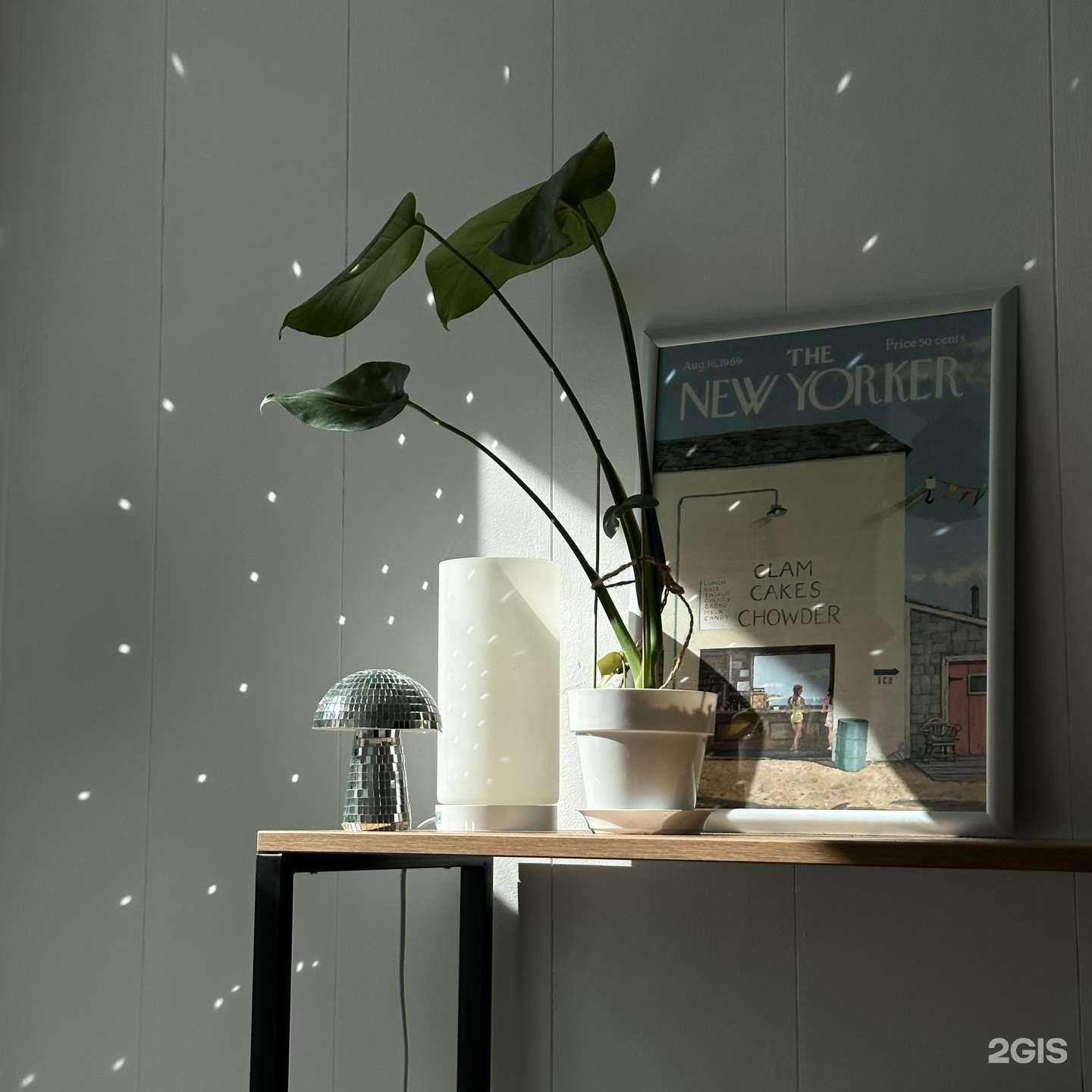 Отзывы на компанию Lilkate brows в г. Тверь c фото