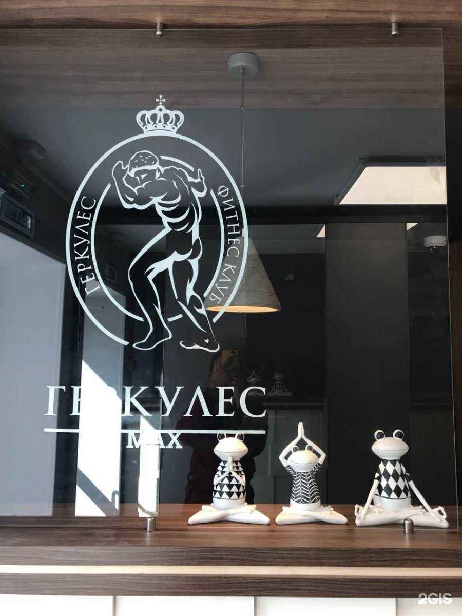 Отзывы на компанию Геркулес Max в Калининграде c фото