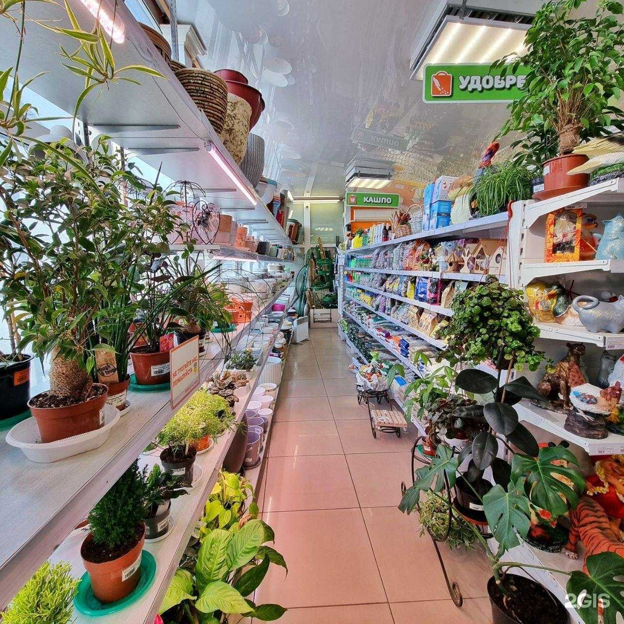 Отзывы на компанию Универсад в Владивостоке c фото