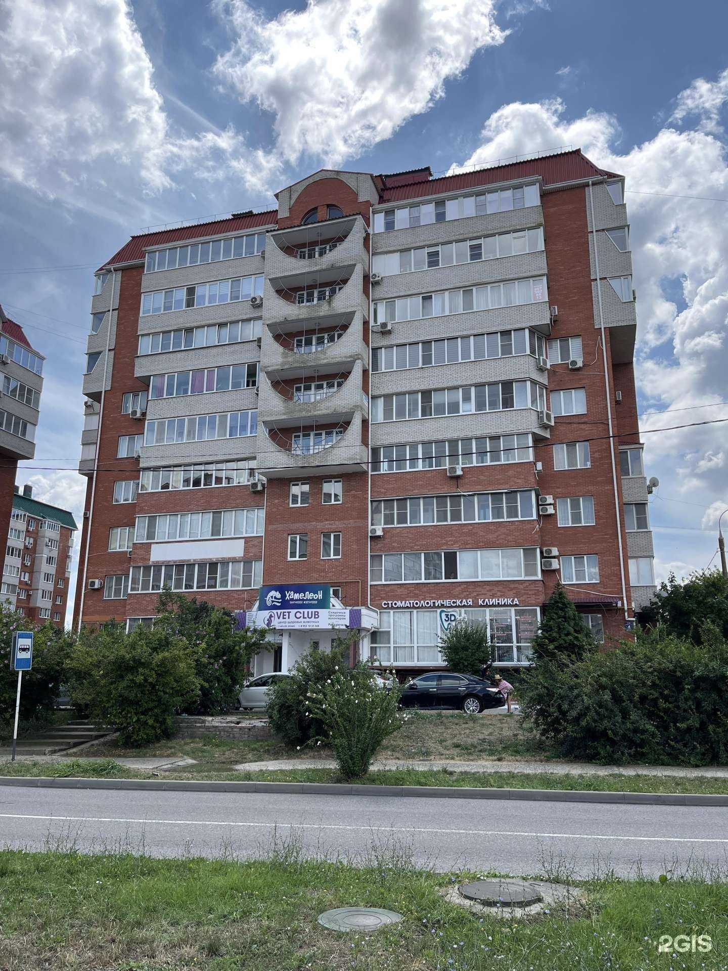 Отзывы на компанию VetClub в Анапе c фото - фотография 2 из 2