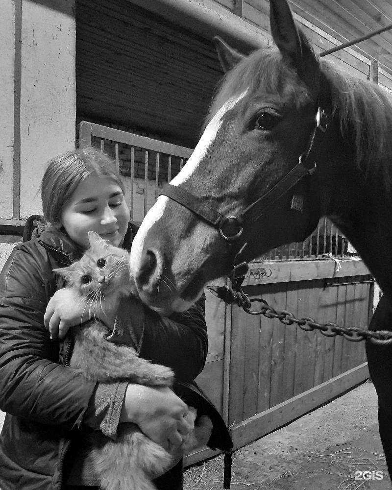 Отзывы на компанию СШ №11 в г. Иваново c фото