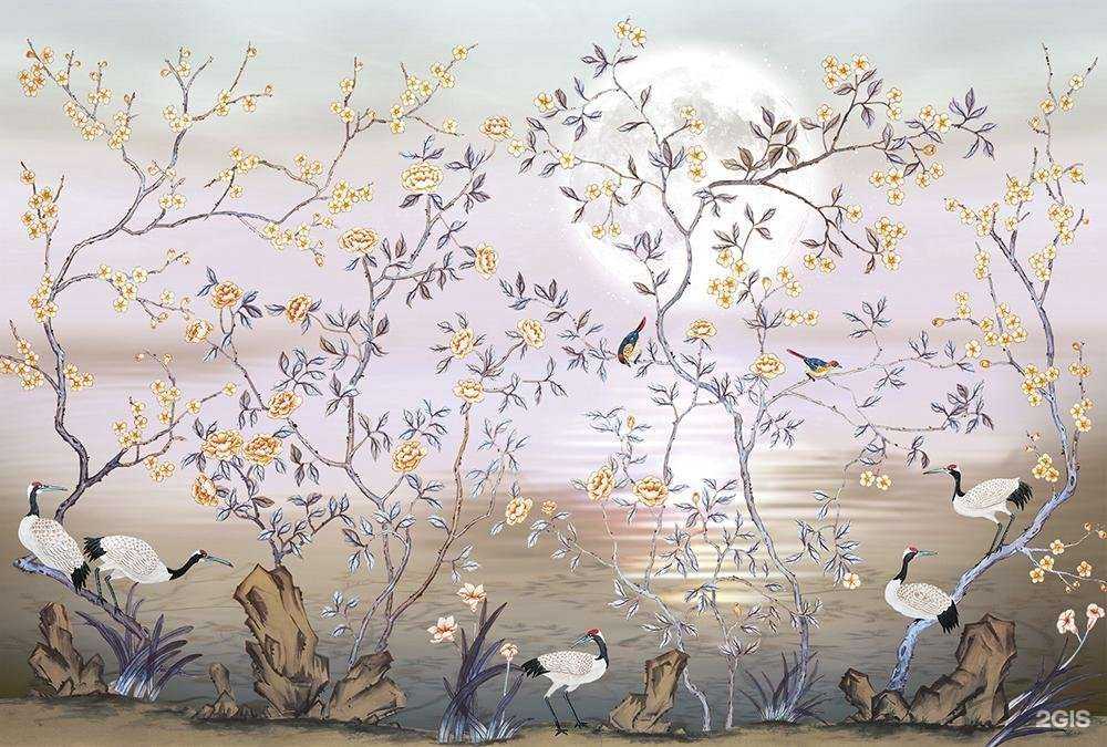 Отзывы на компанию Colora в Казани c фото