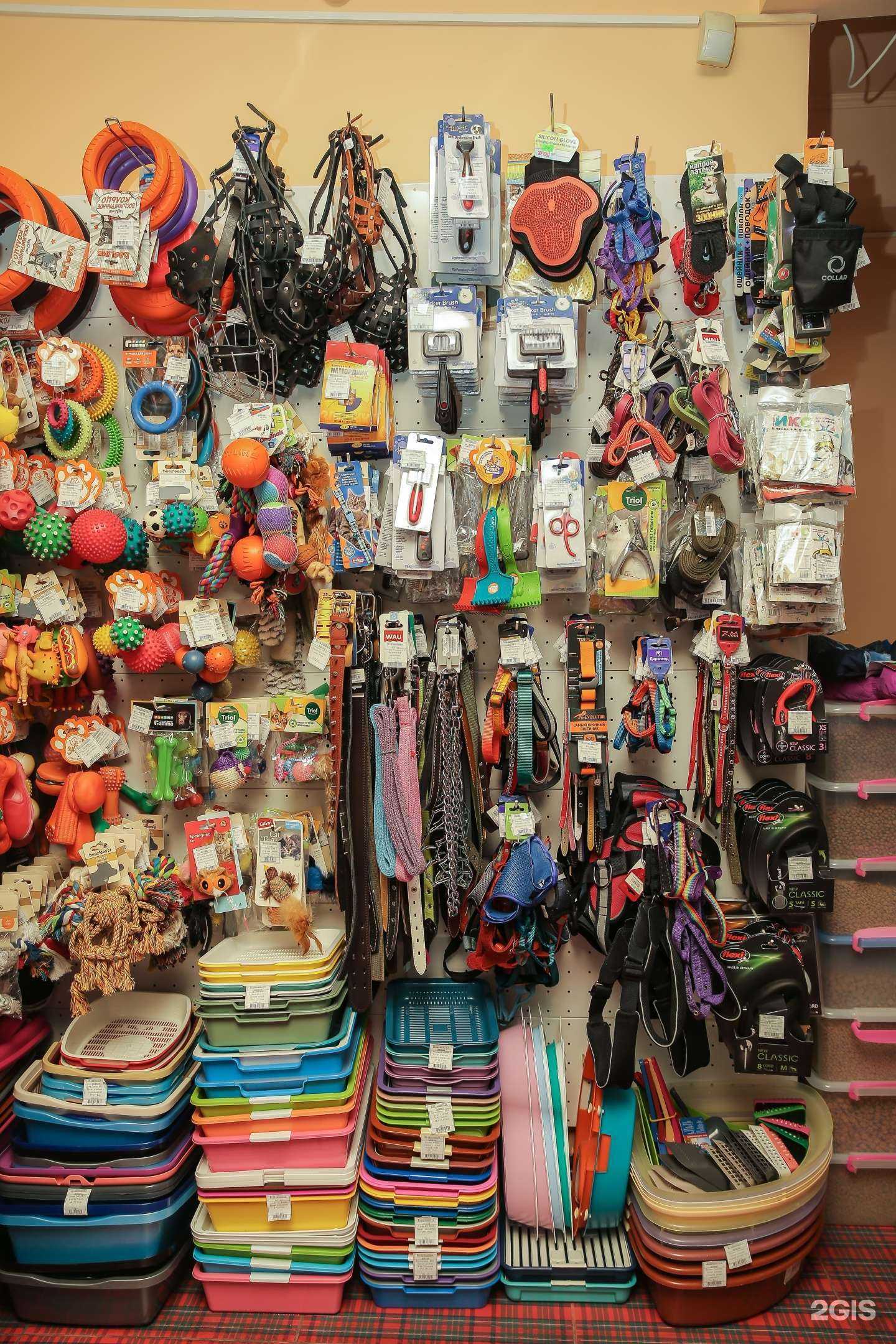 Отзывы на компанию Большая лапа в г. Новороссийск c фото