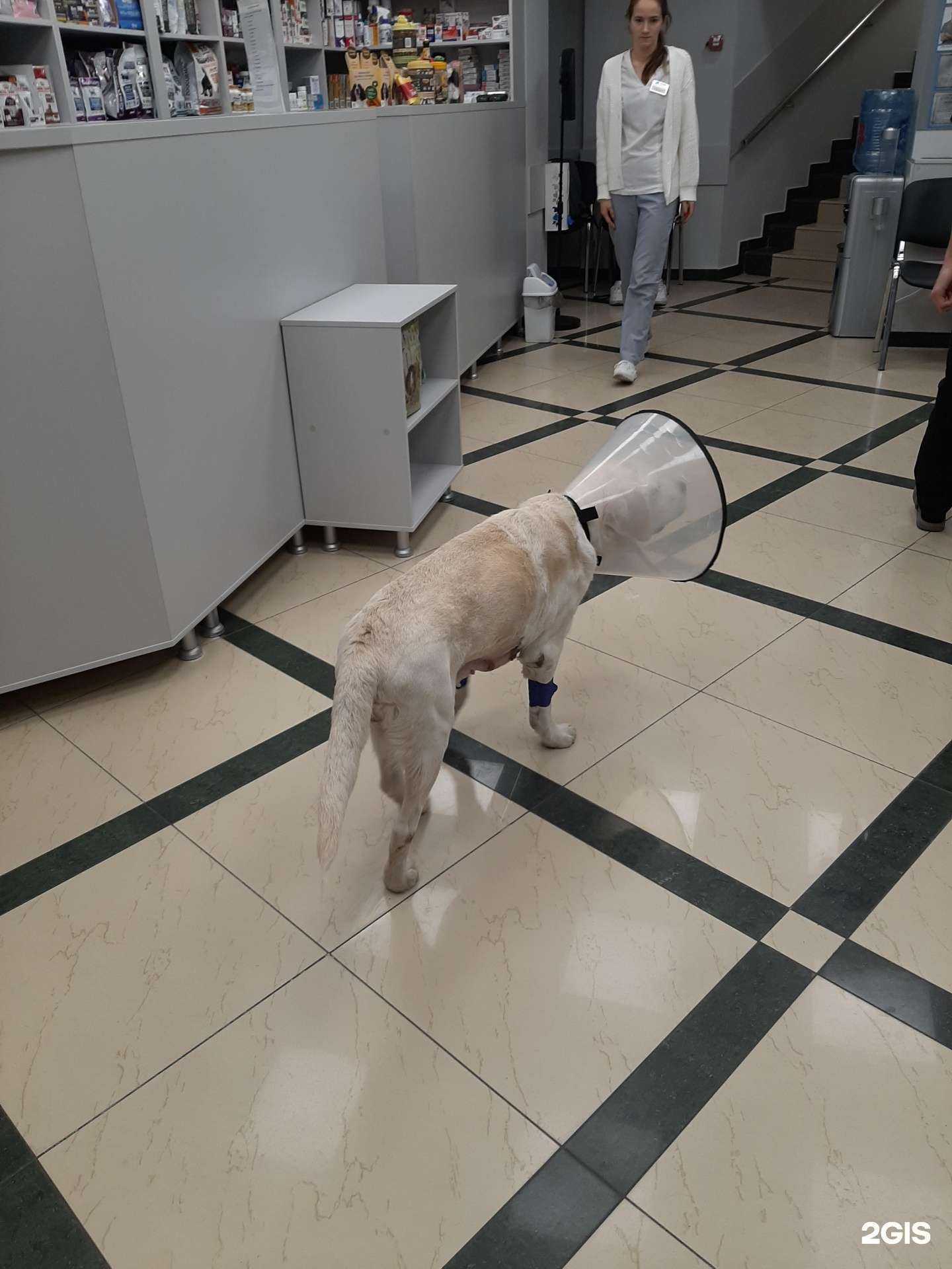 Отзывы на компанию Слон в Краснодаре c фото