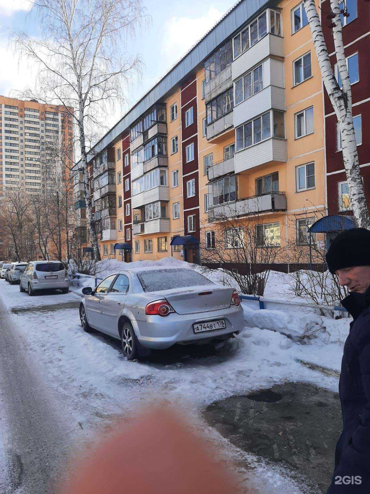 Отзывы на компанию Служба доставки гелиевых шаров в Новосибирске c фото - фотография 2 из 2