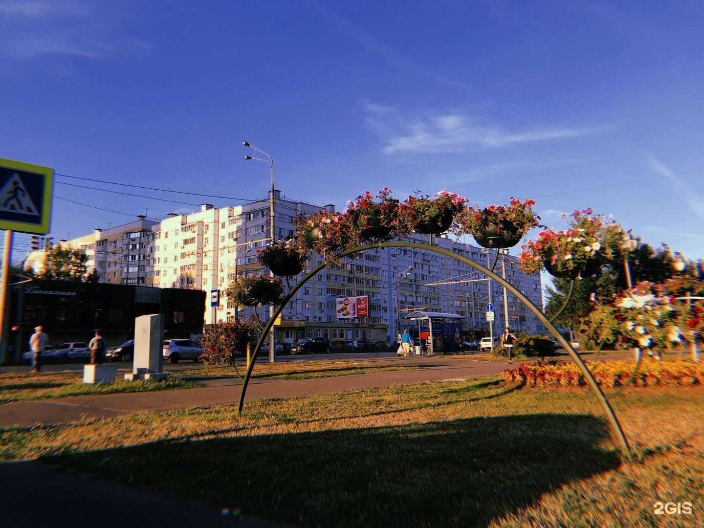 Отзывы на компанию ЗооОптТорг.РФ в Казани c фото - фотография 2 из 2