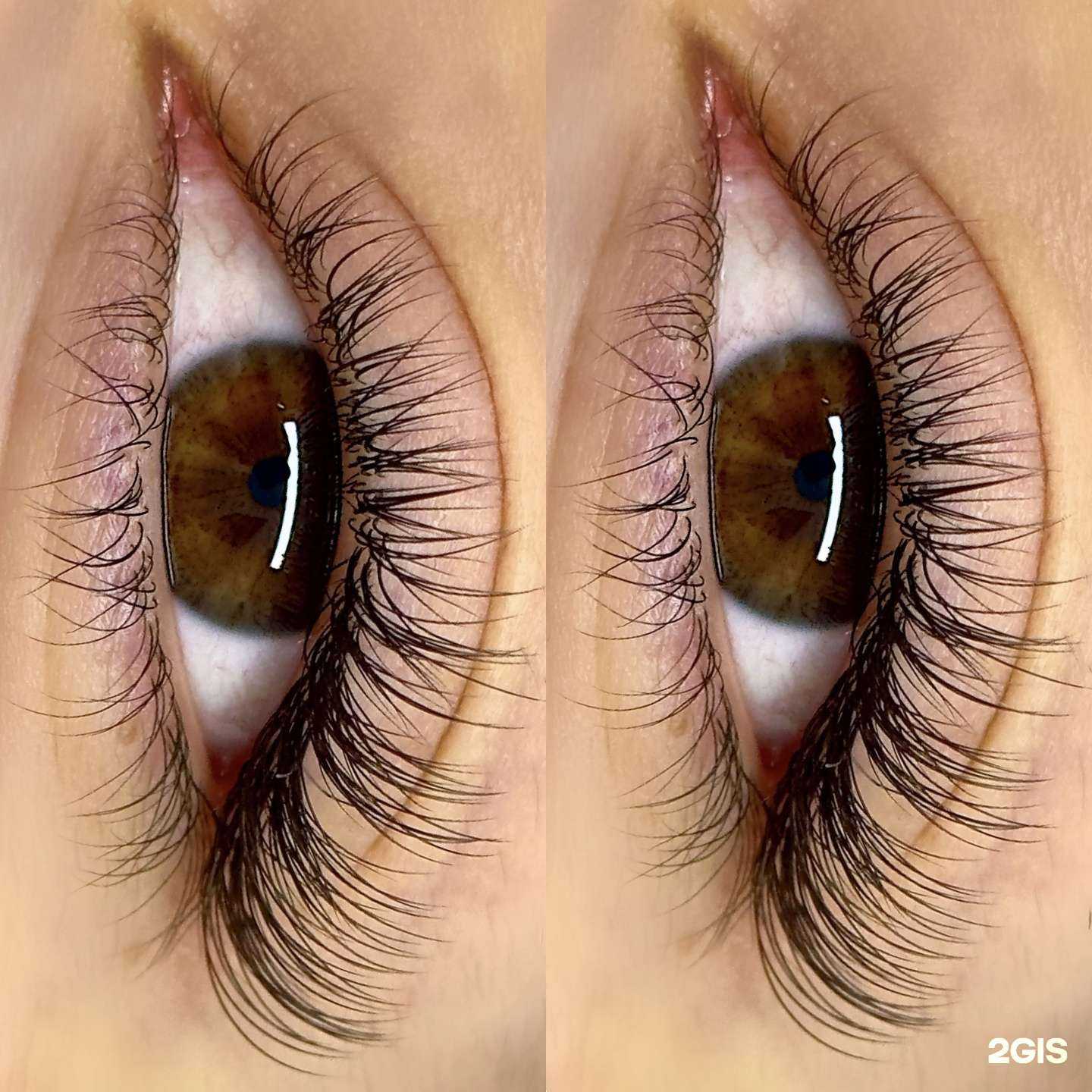 Отзывы на компанию М.Lash в Архангельске c фото