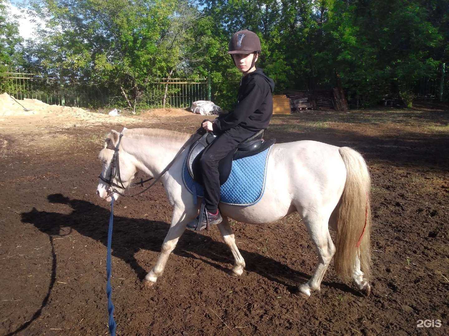 Отзывы на компанию Челябинская кавалерийская школа в Челябинске c фото