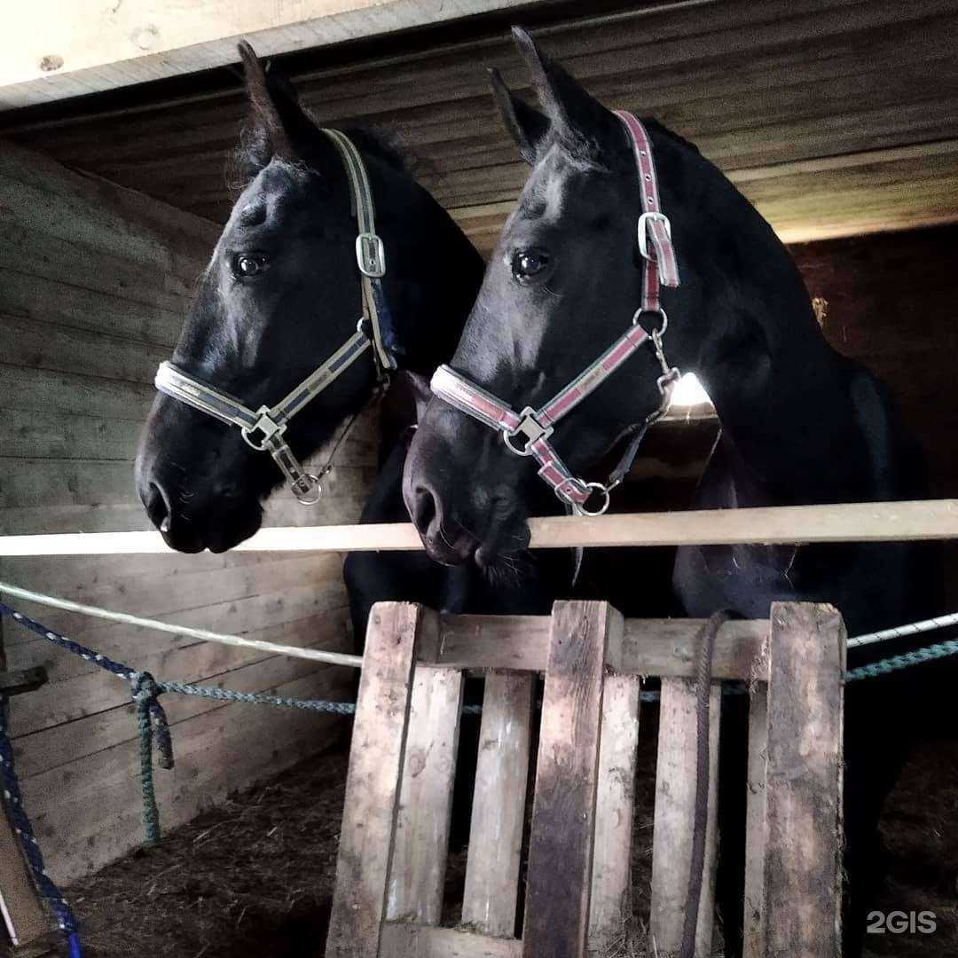 Отзывы на компанию Аристократ в Южно-Сахалинске c фото