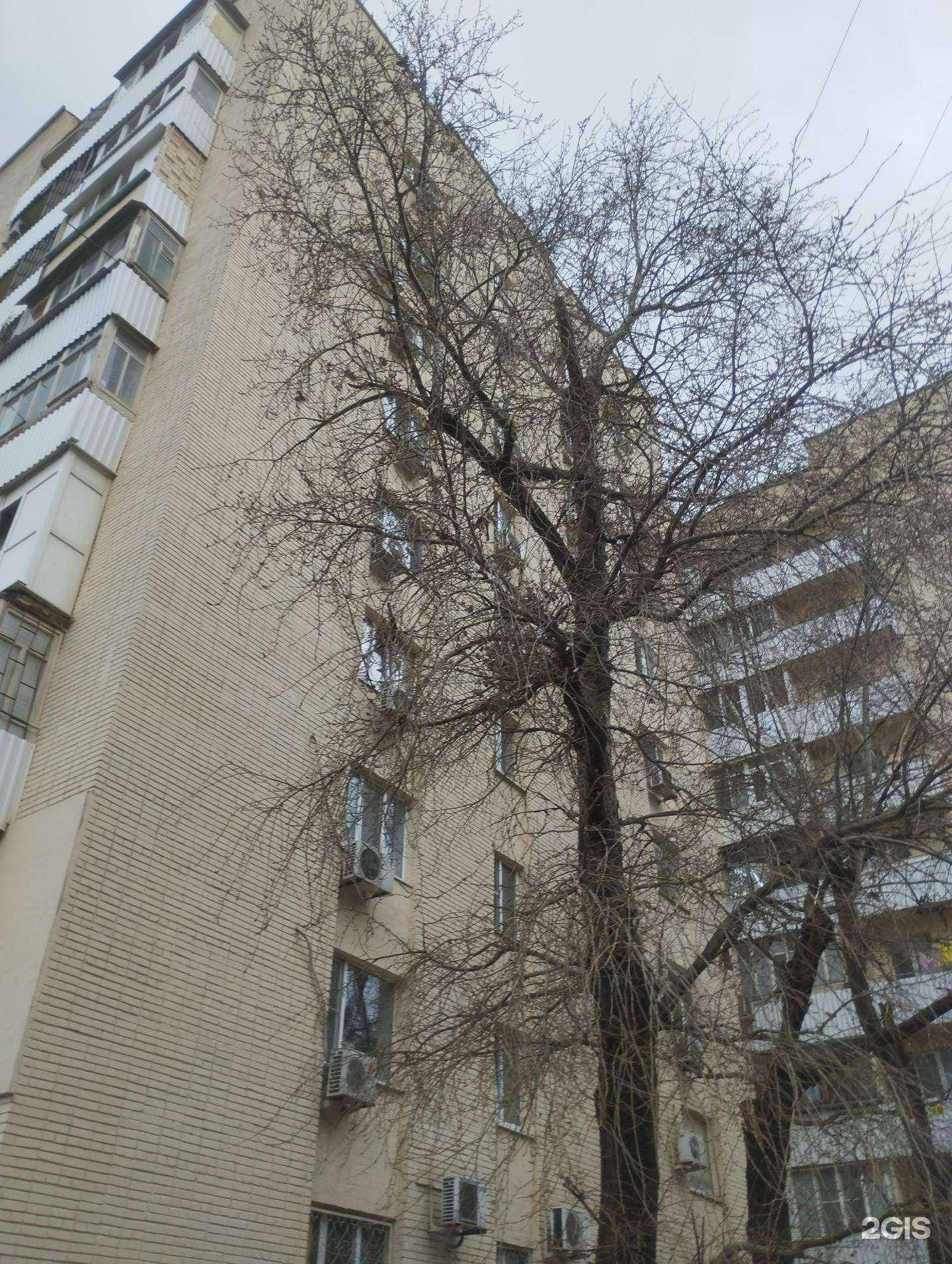 Отзывы на компанию Экомаркет в Ростове-на-Дону c фото - фотография 2 из 2