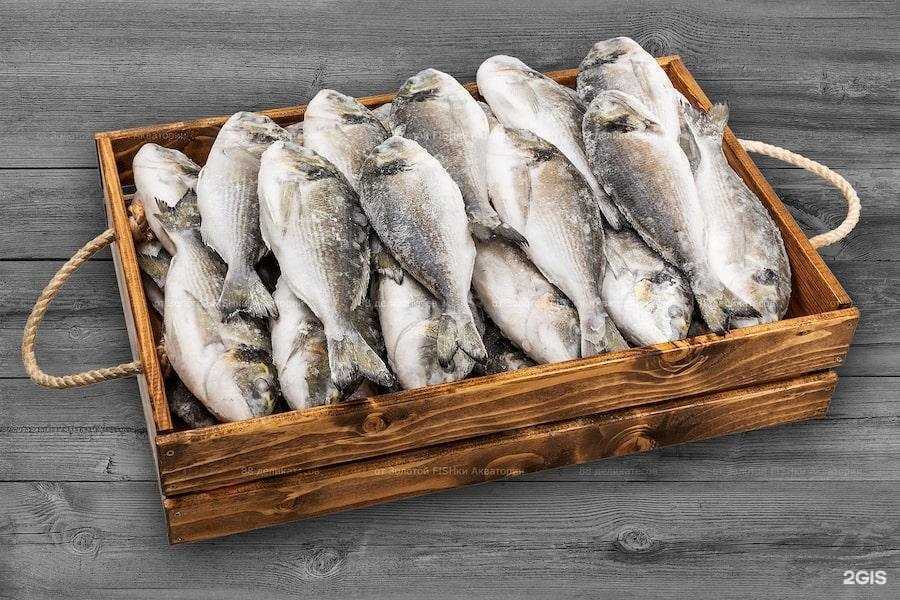 Отзывы на компанию Золотая fishka в Самаре c фото