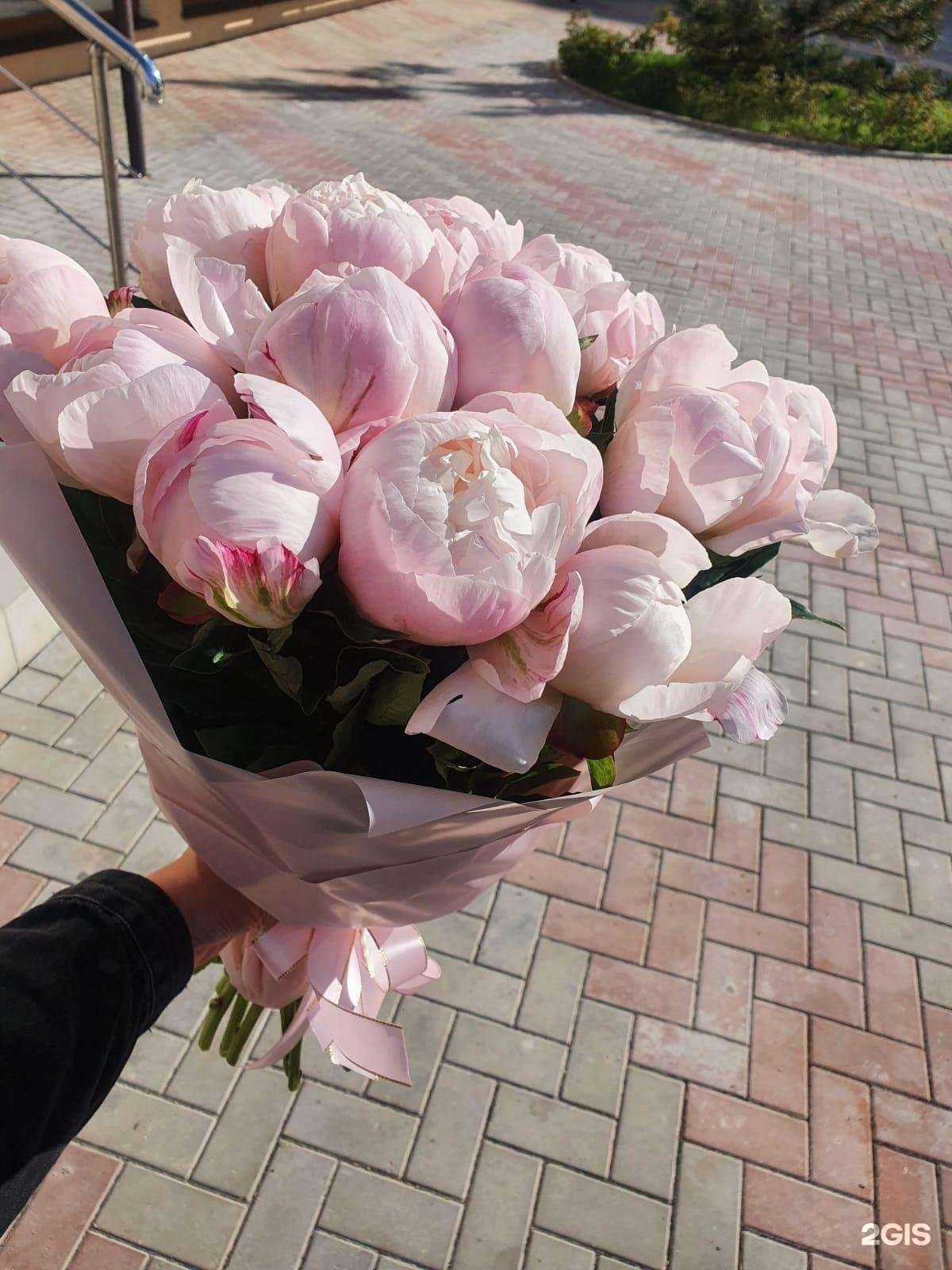 Отзывы на компанию Центр цветов в г. Геленджик c фото