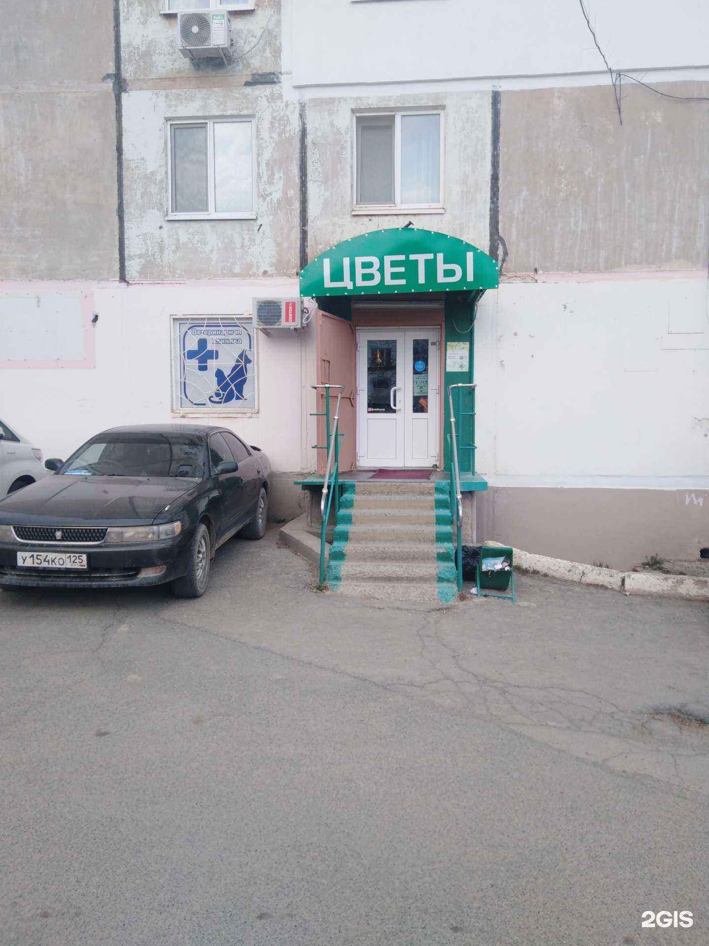 Отзывы на компанию Доктор в г. Большой Камень c фото