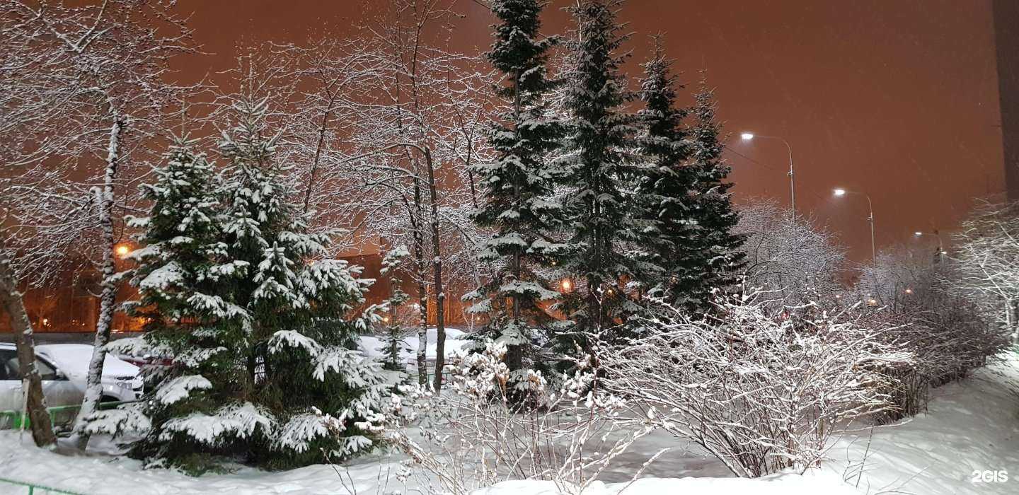 Отзывы на компанию Медар в Тюмени c фото - фотография 2 из 2