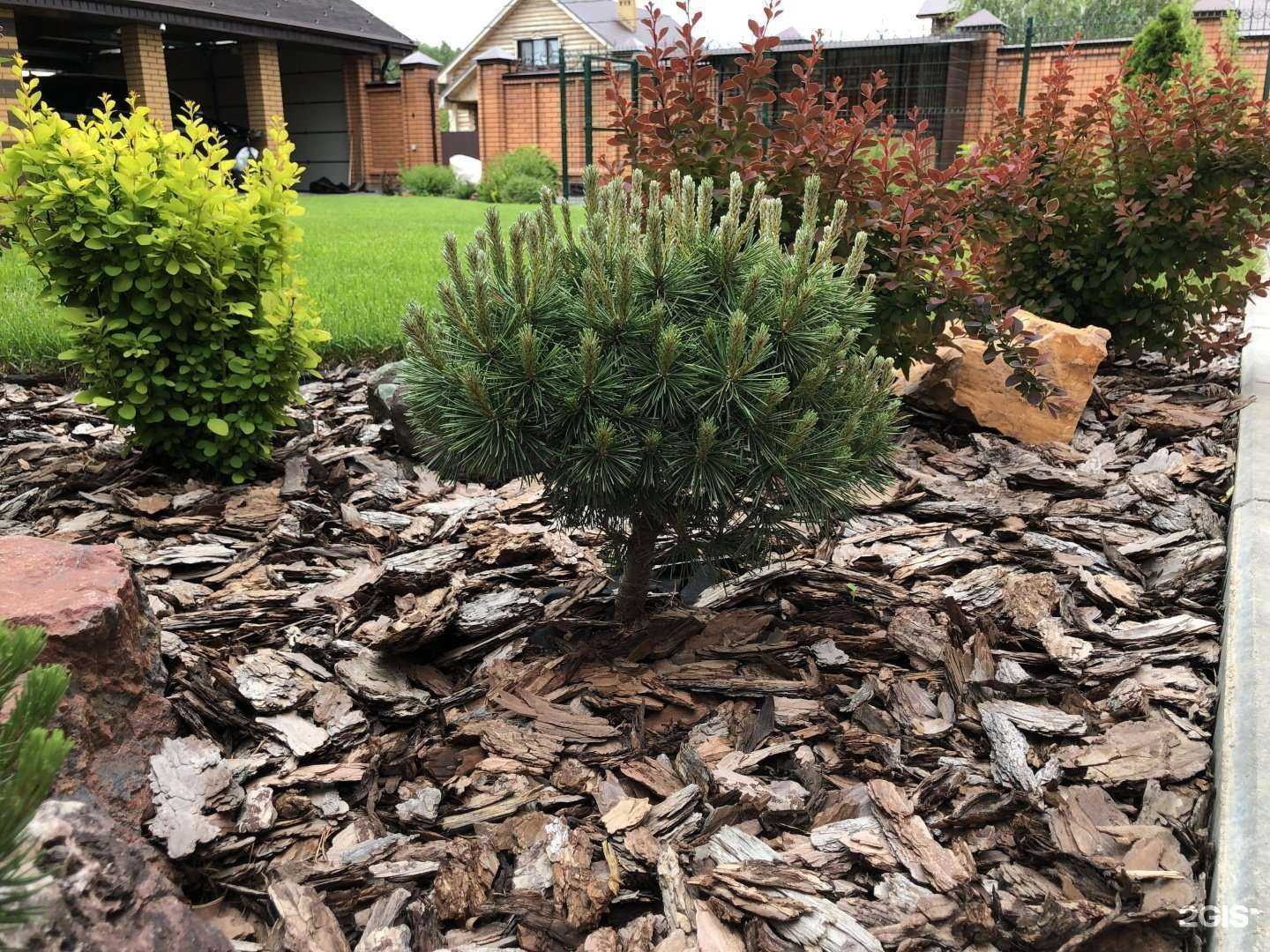 Отзывы на компанию Зеленыйгород 116 в г. Казань c фото