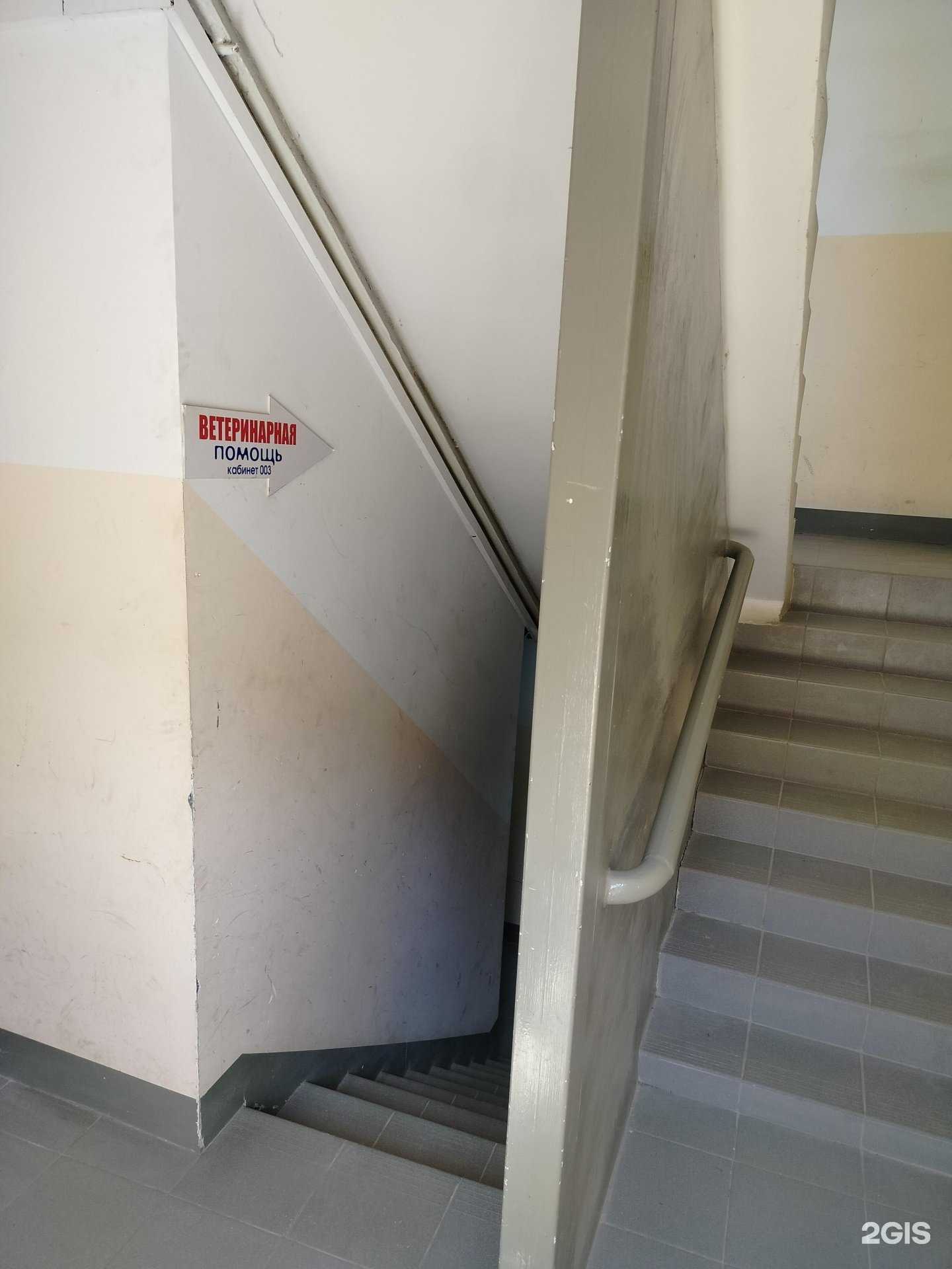 Отзывы на компанию Кабинет ветеринарной помощи в Орехово-Зуеве c фото