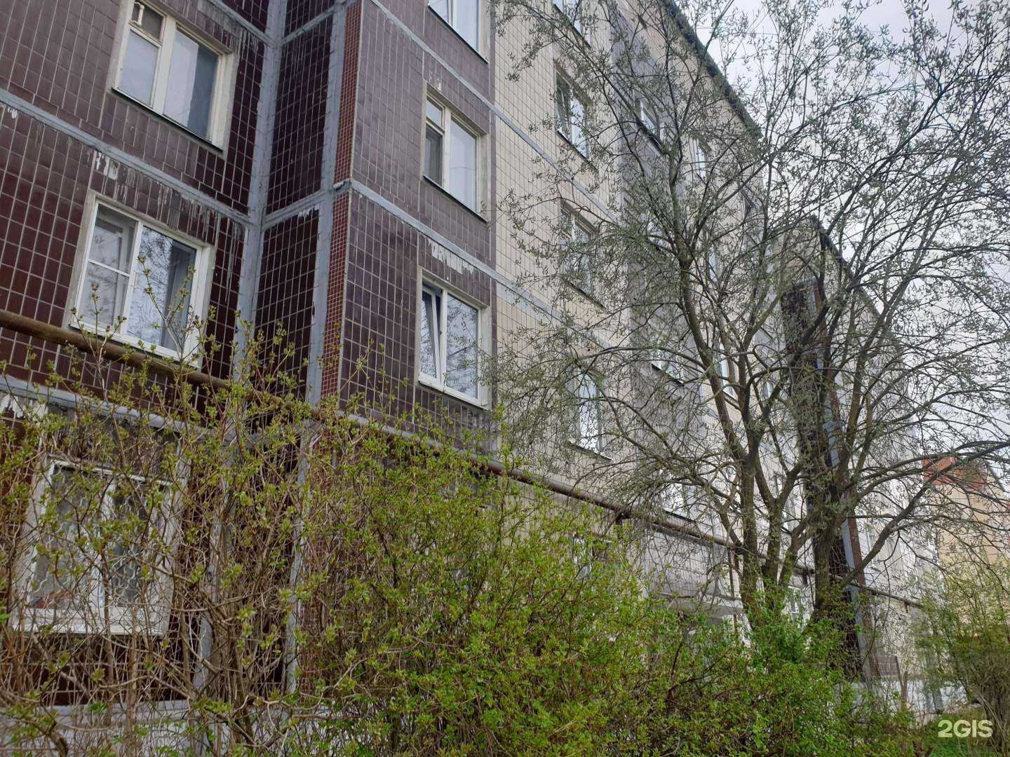 Отзывы на компанию Живая вода в Гатчине c фото - фотография 2 из 2