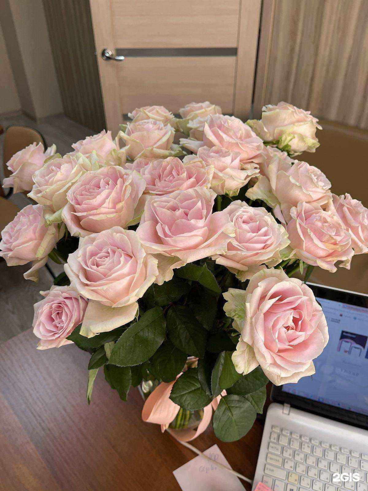 Отзывы на компанию Aroma_Roses74 в Челябинске c фото