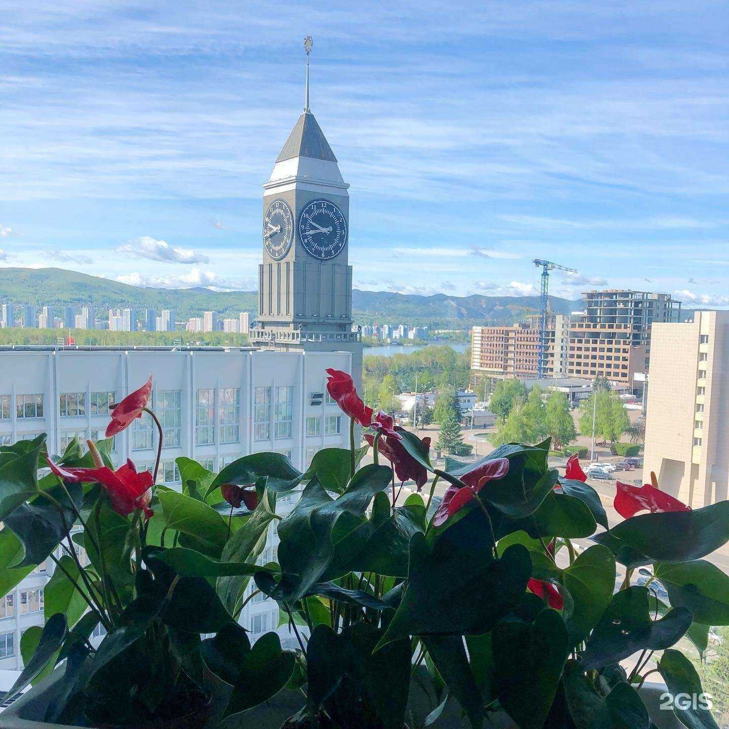 Отзывы на компанию Европа в Красноярске c фото