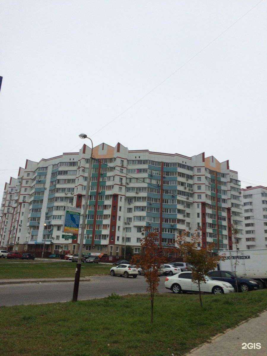 Отзывы на компанию Какаду в Хабаровске c фото - фотография 2 из 2